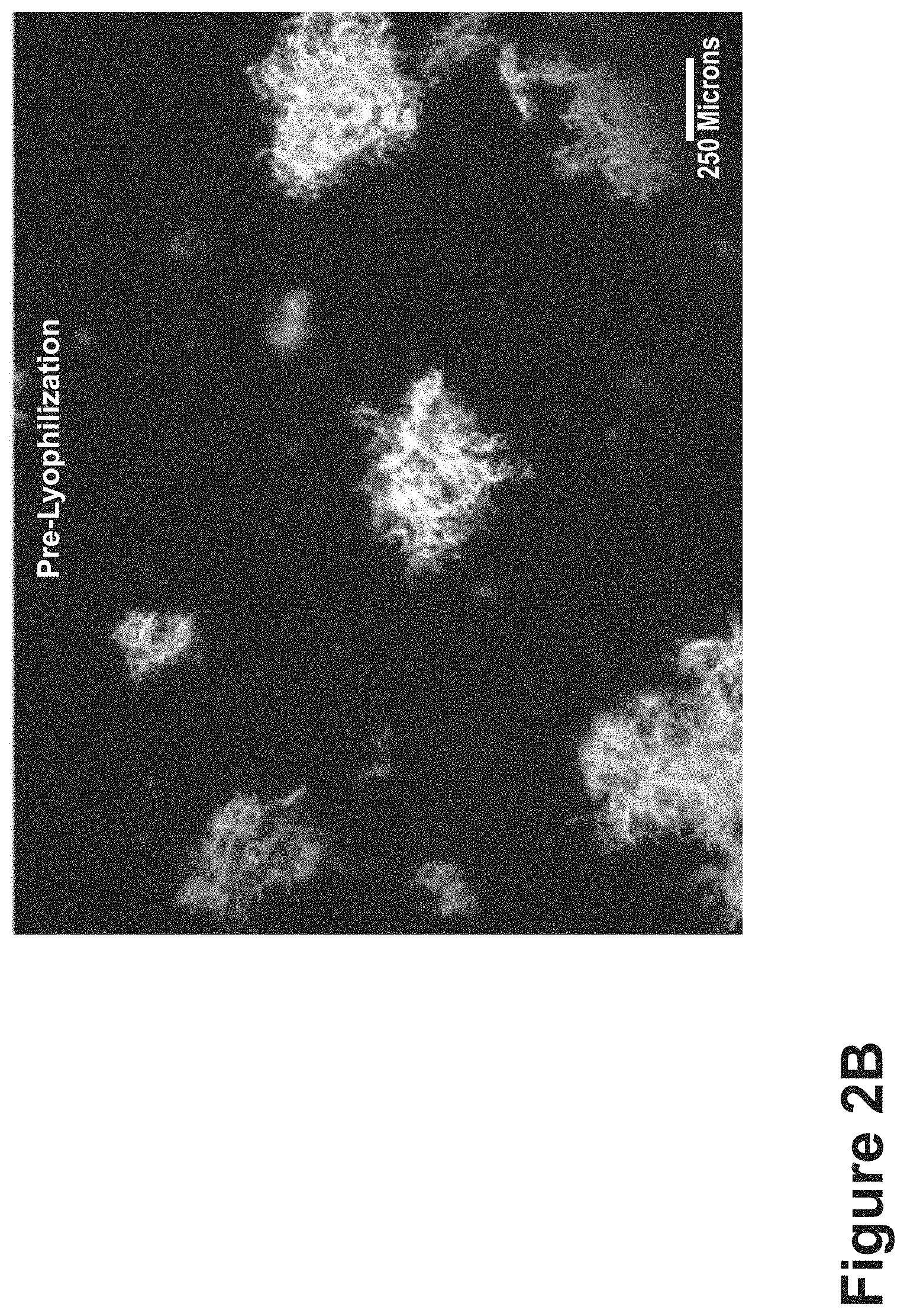Patent US11771807 Figure 7 – Nanofiber-hydrogel composites for cell and tissue delivery