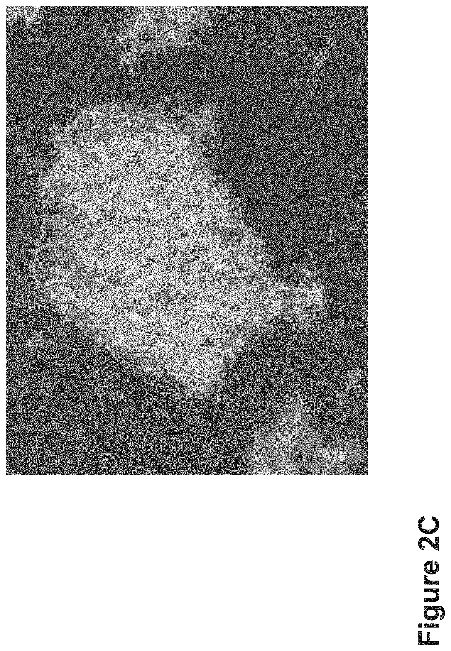 Patent US11771807 Figure 8 – Nanofiber-hydrogel composites for cell and tissue delivery