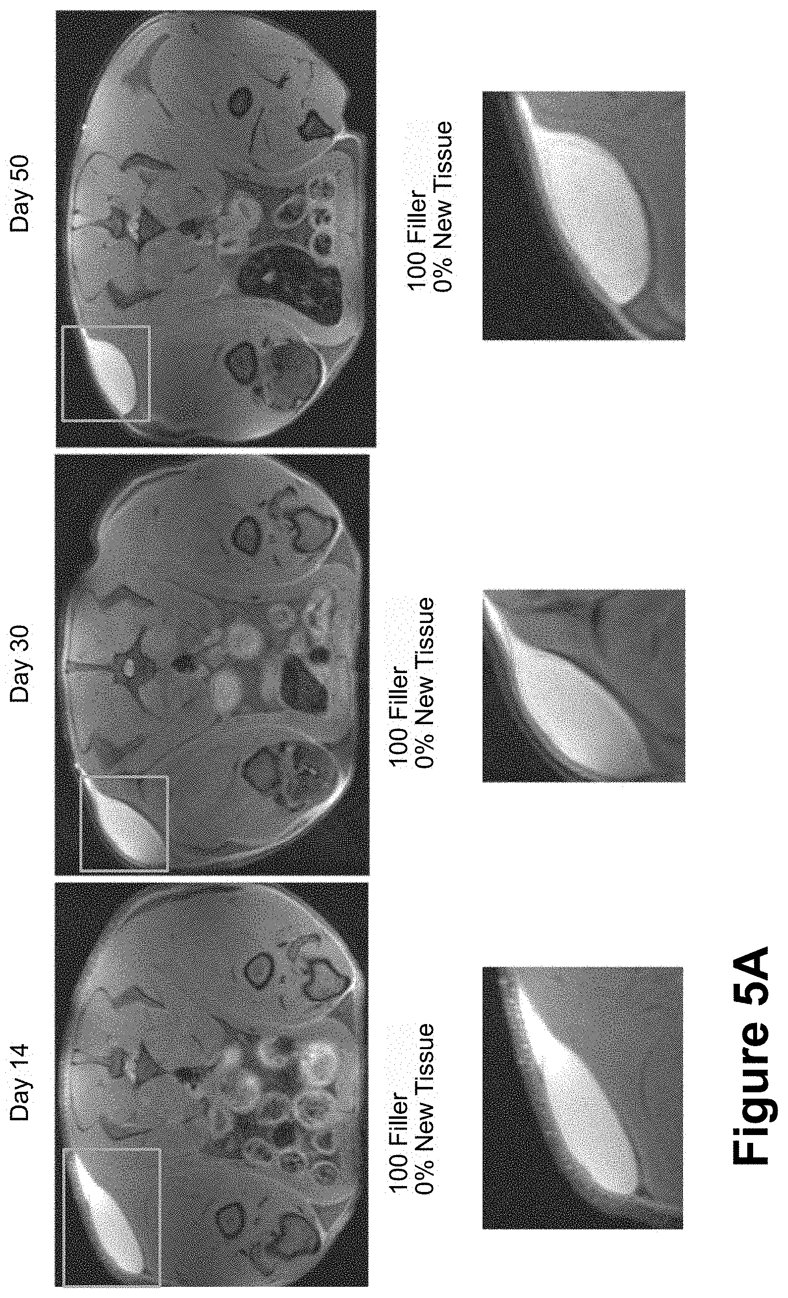 Patent US11771807 Figure 14 – Nanofiber-hydrogel composites for cell and tissue delivery