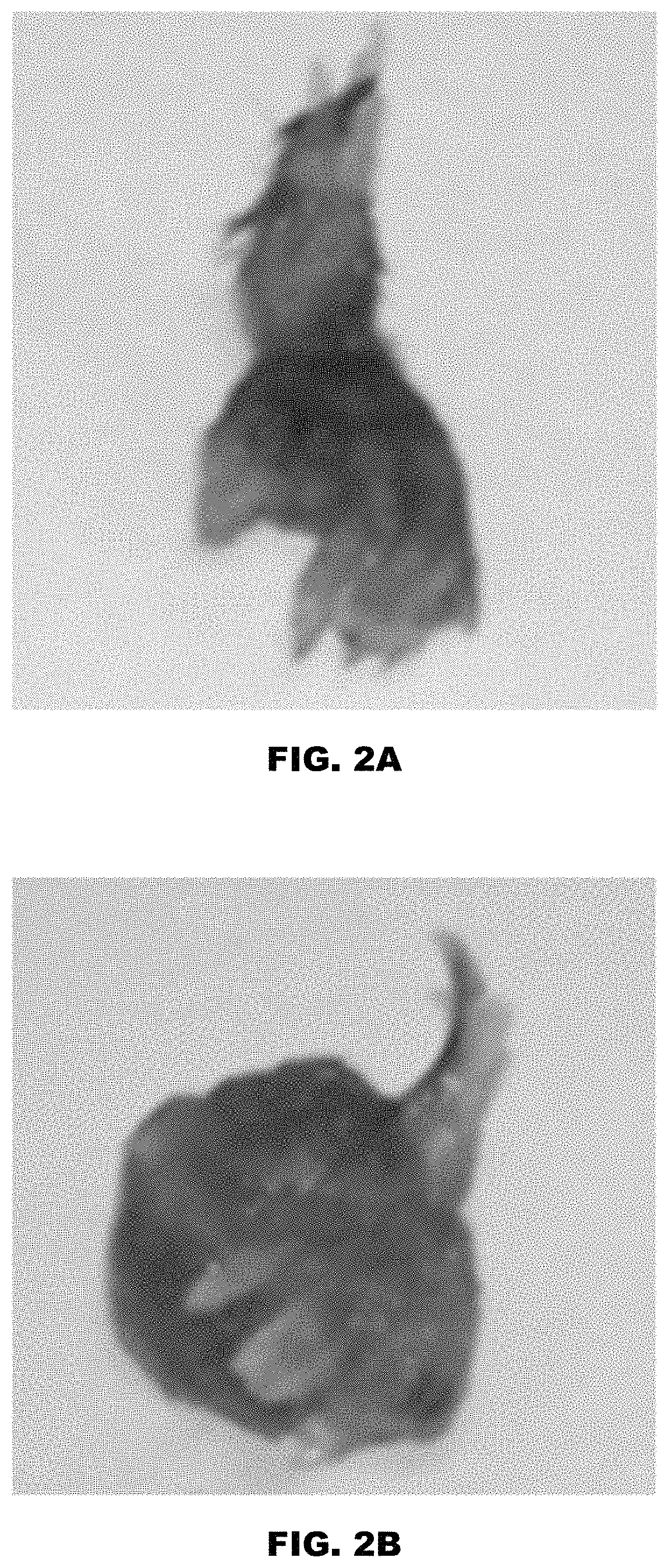 Patent US11771812 Figure 2 – Method and device for purification of blood from circulating cell free DNA