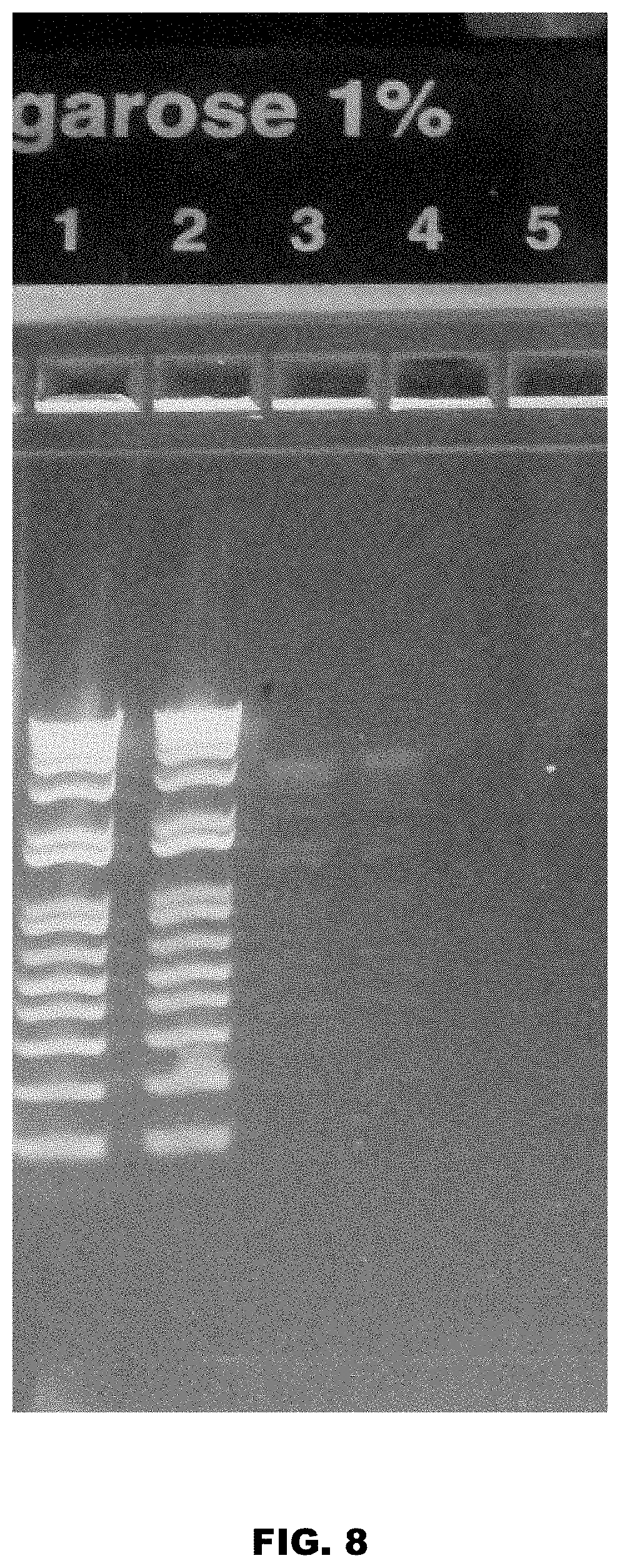 Patent US11771812 Figure 8 – Method and device for purification of blood from circulating cell free DNA