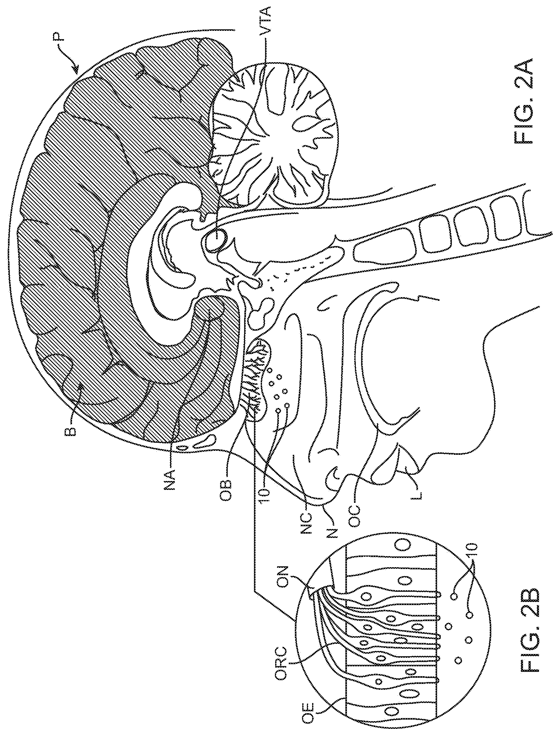 Patent US11771864 Figure 2 – Devices, systems and methods for delivering coffee-derived volatiles
