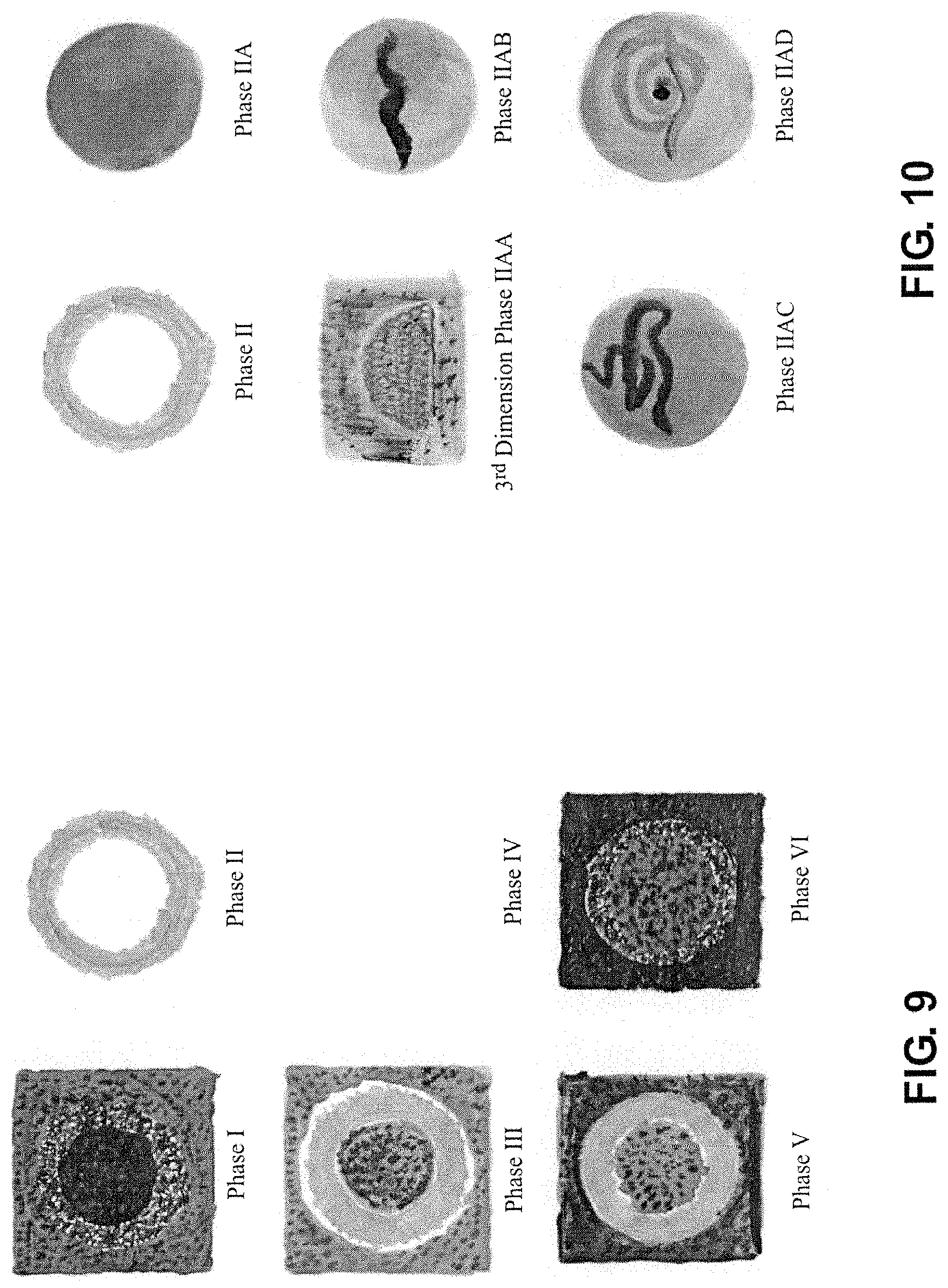Patent US11771894 Figure 5 – Apparatus and method for restoring health via energetic field