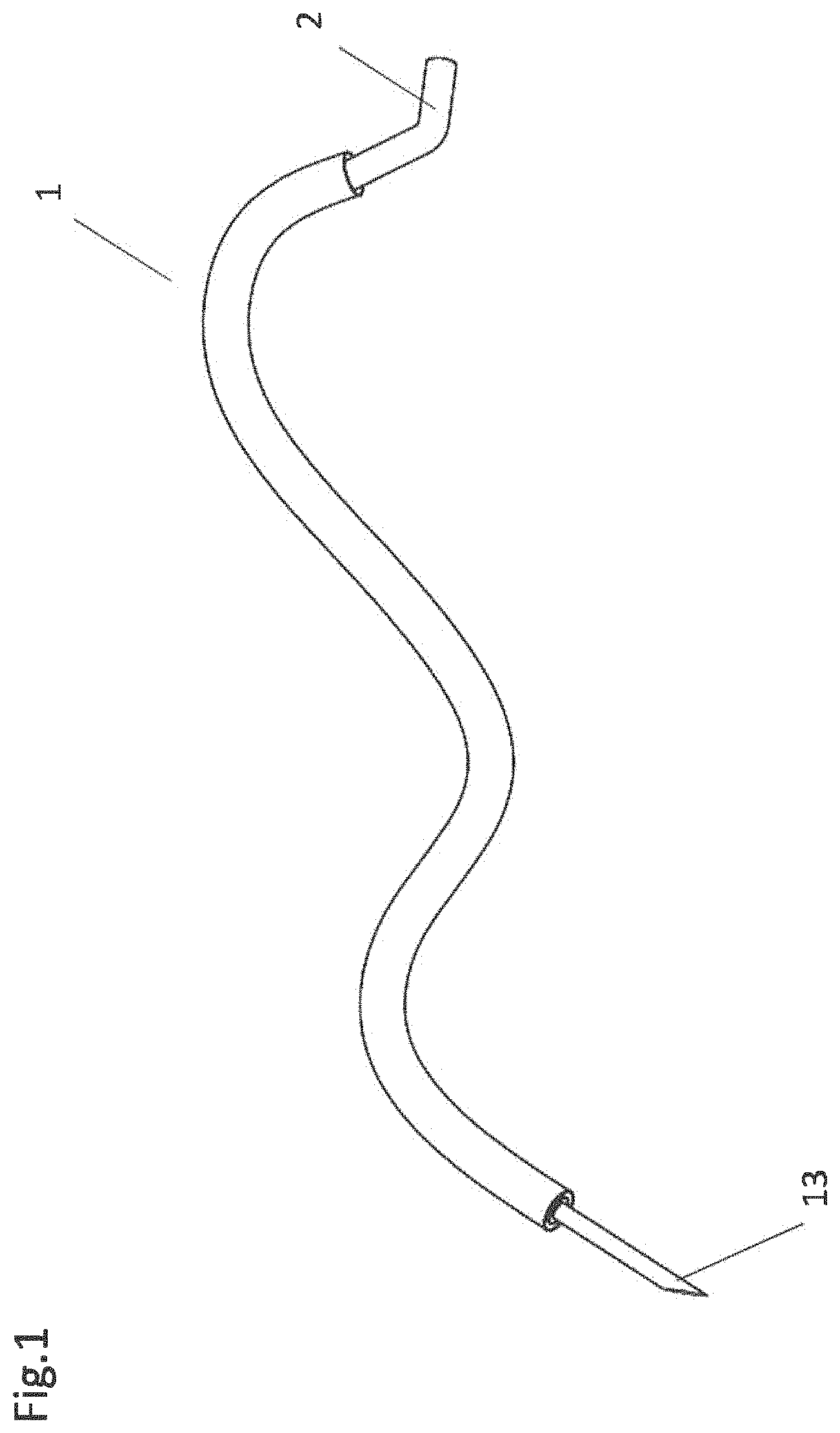 Patent US11771897 Figure 1 – System, method and catheter for pituitary and brain implantation