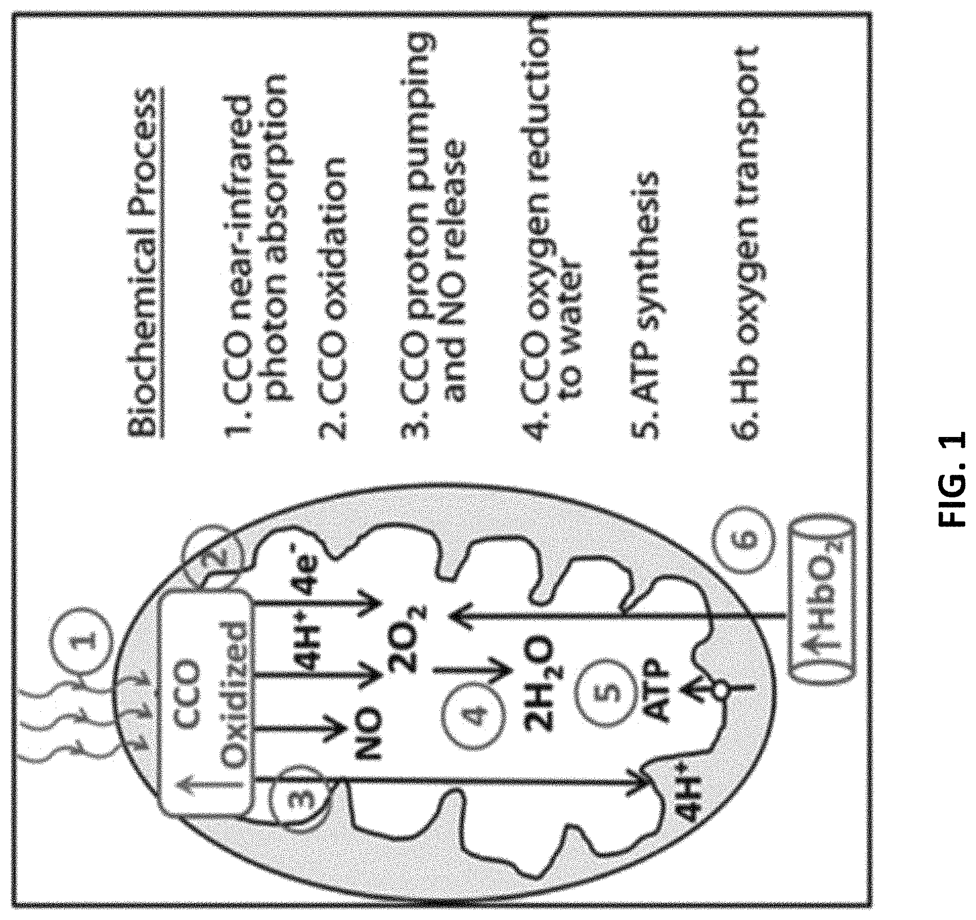 Patent US11771917 Figure 1 – Method and apparatus for brain function enhancement