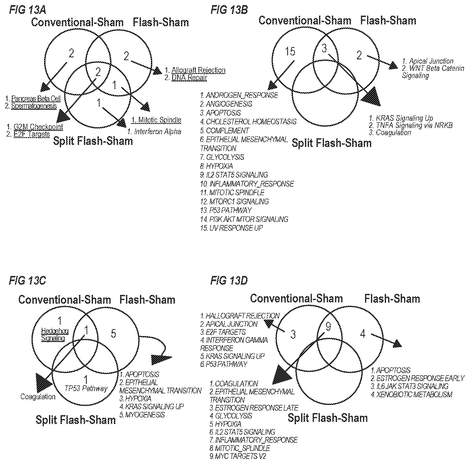 Patent US11771920 Figure 13 – Methods of use of ultra-high dose rate radiation and therapeutic agent