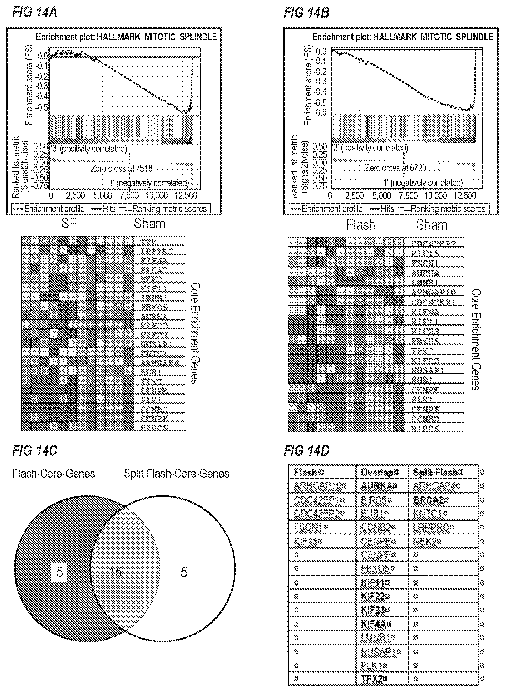 Patent US11771920 Figure 14 – Methods of use of ultra-high dose rate radiation and therapeutic agent