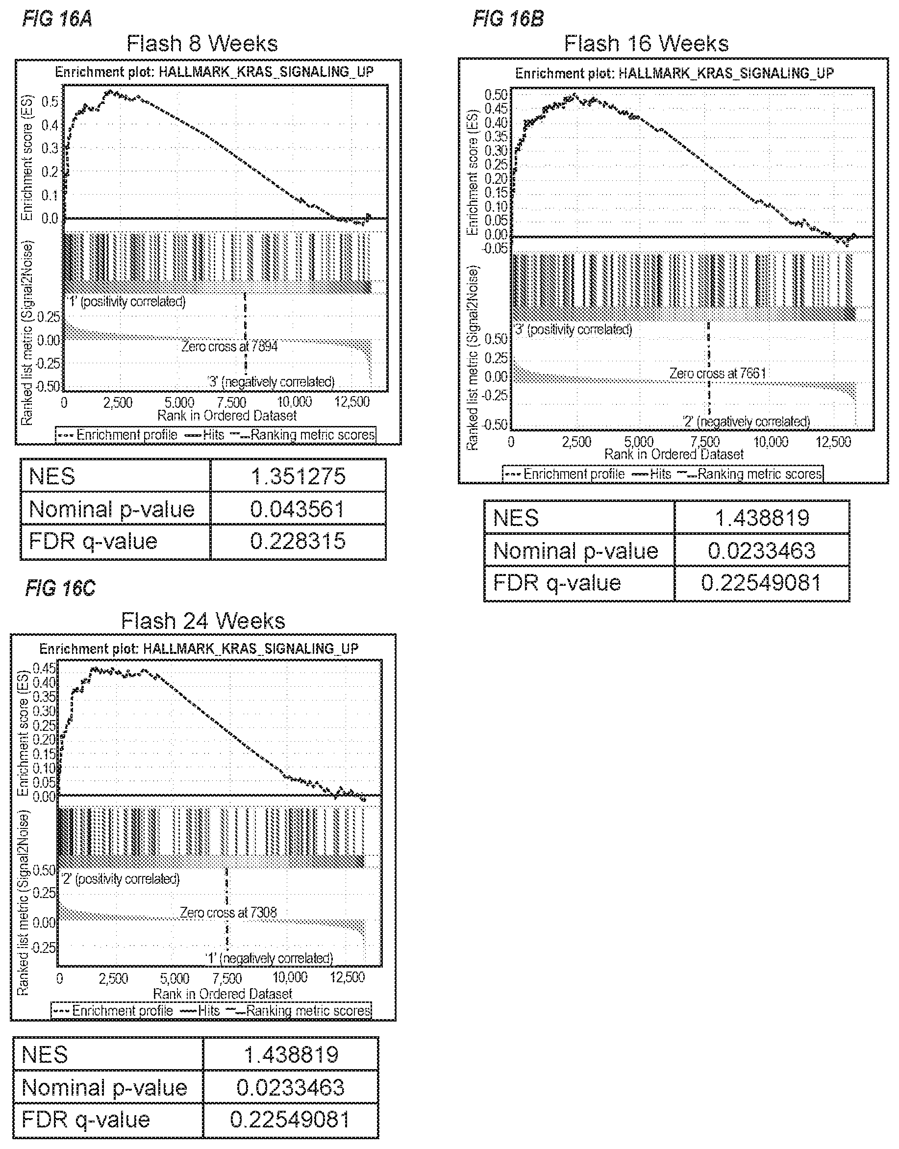 Patent US11771920 Figure 16 – Methods of use of ultra-high dose rate radiation and therapeutic agent