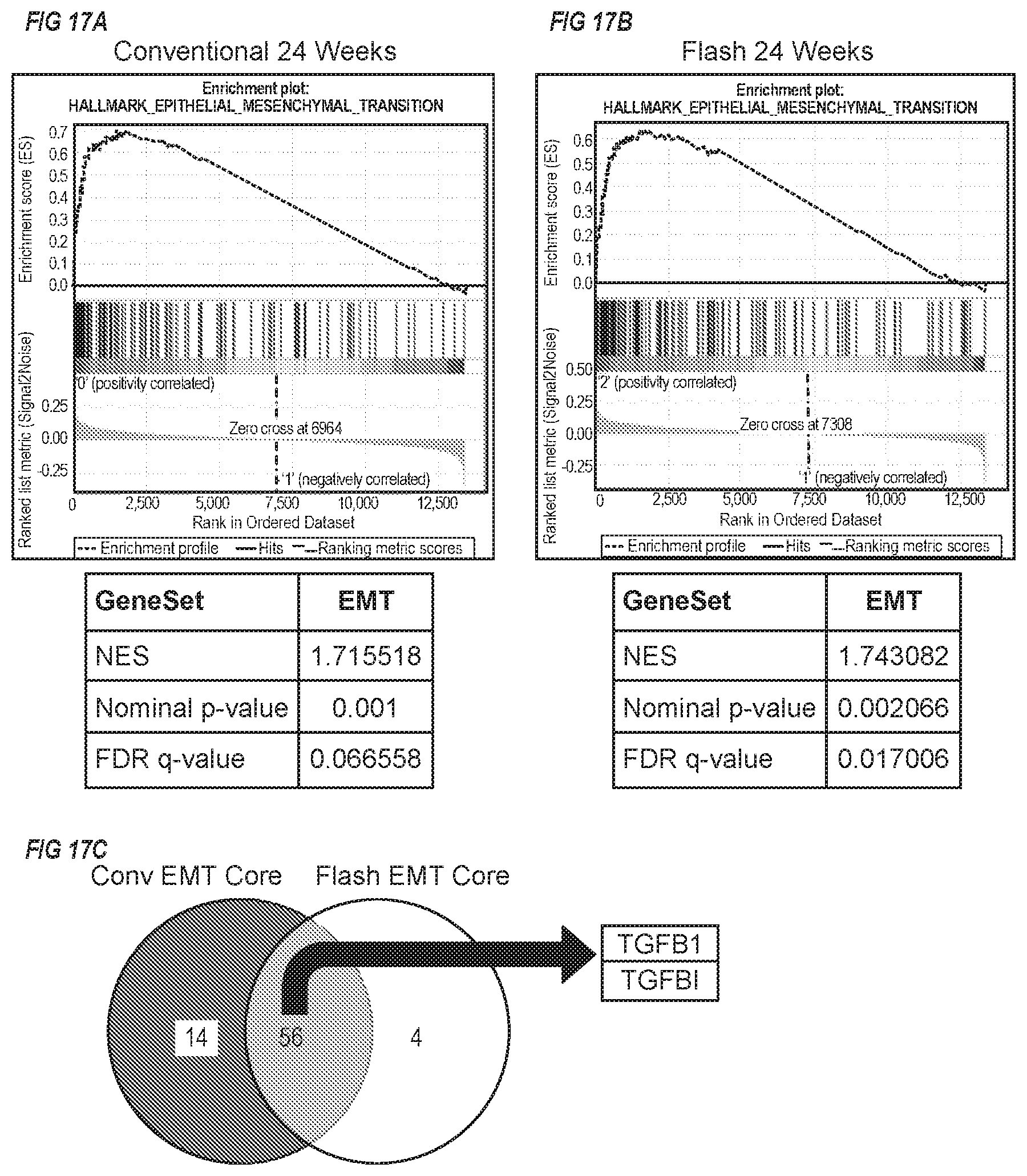 Patent US11771920 Figure 17 – Methods of use of ultra-high dose rate radiation and therapeutic agent
