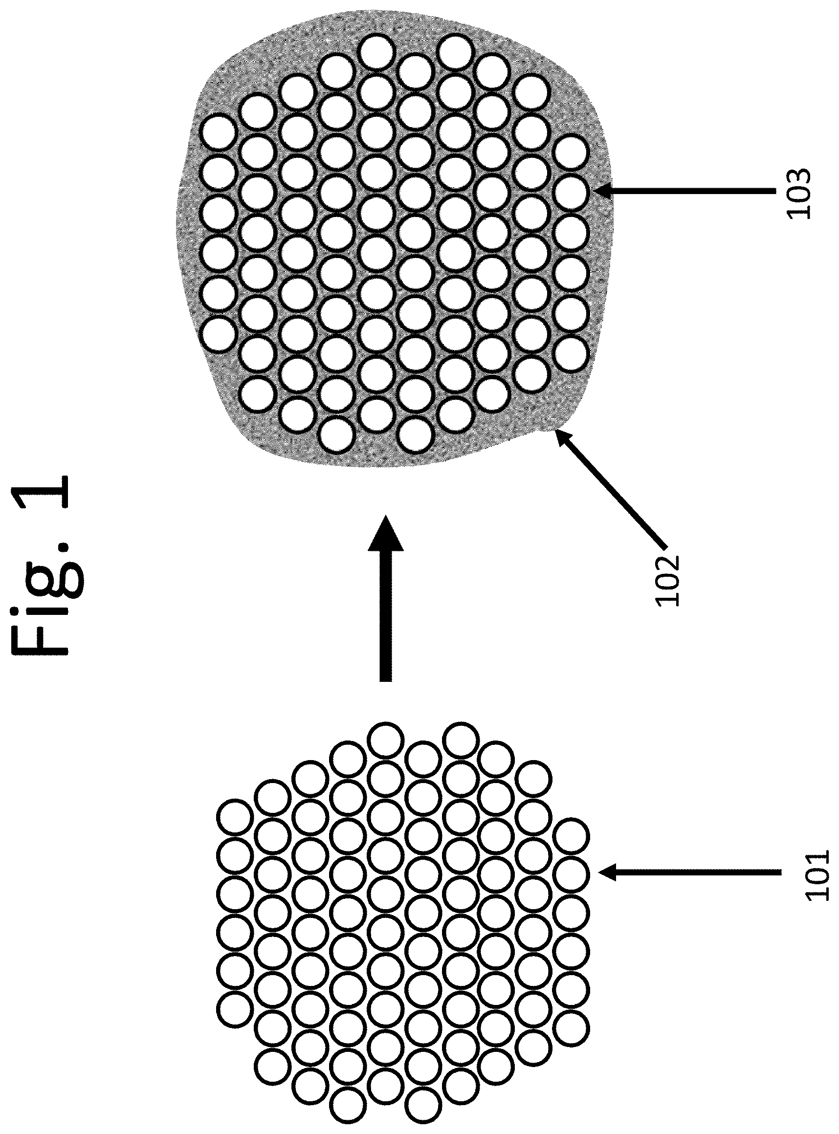 Patent US11772048 Figure 1 – Perfusion filtration system