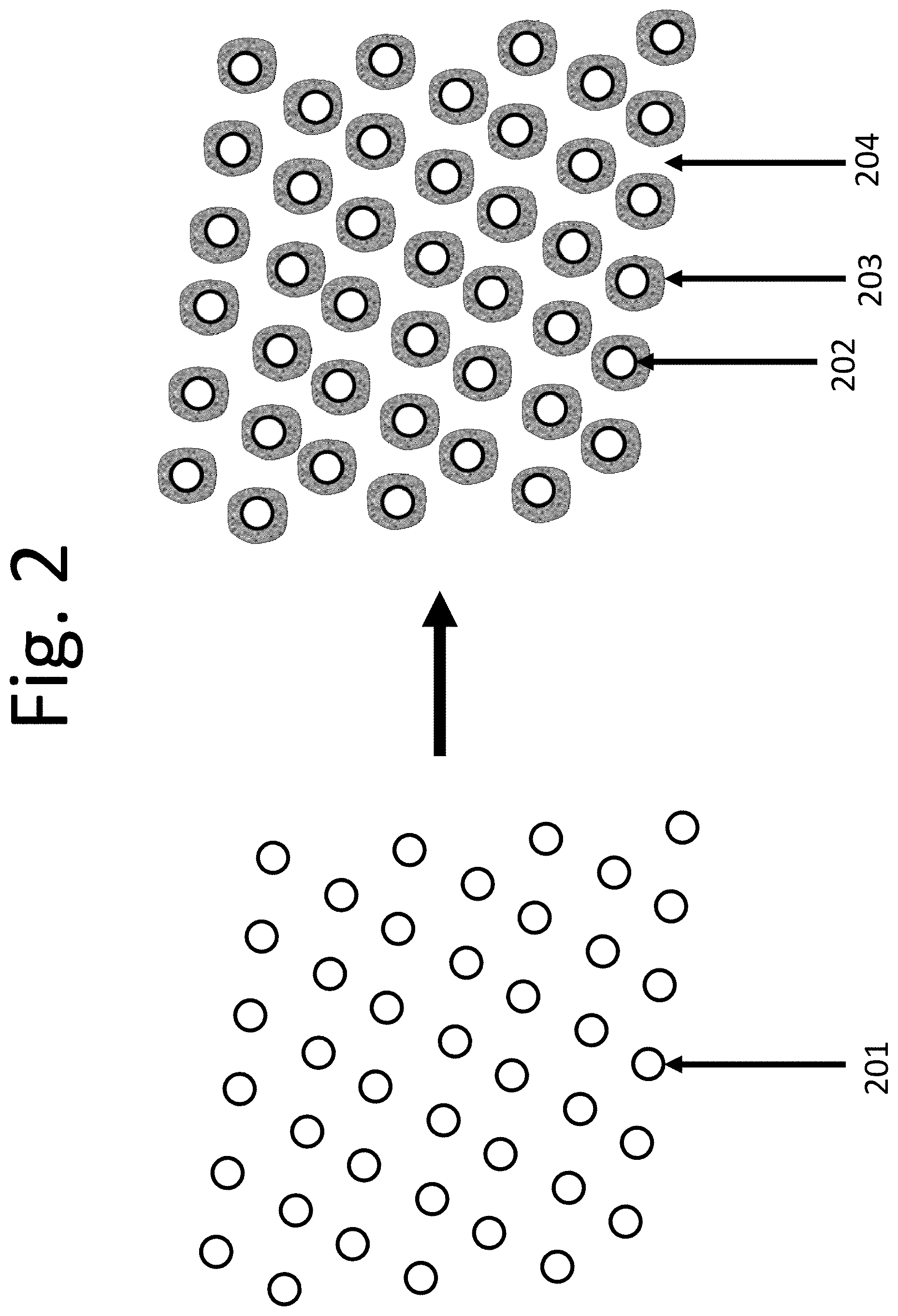 Patent US11772048 Figure 2 – Perfusion filtration system