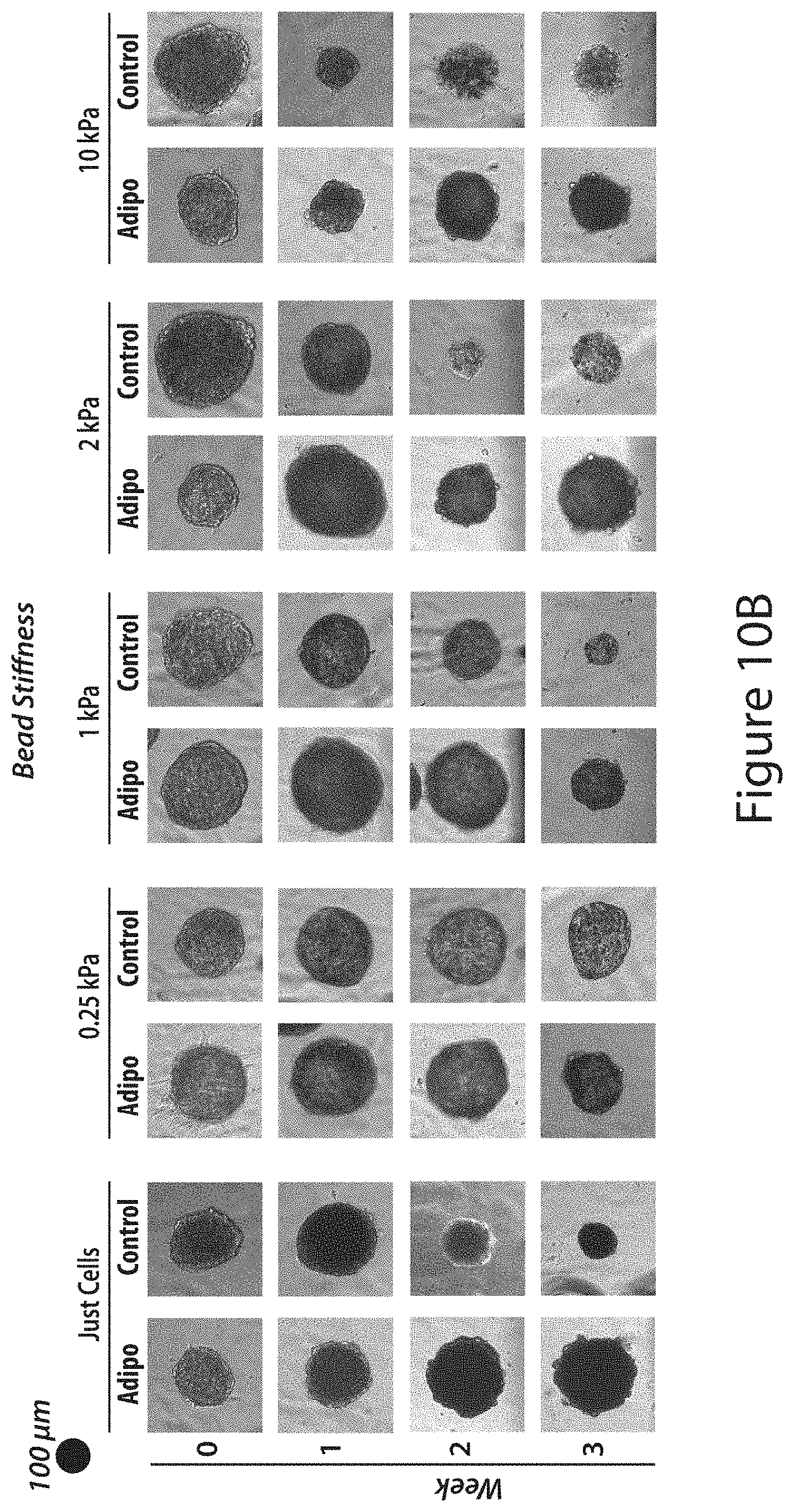 Patent US11772061 Figure 9 – Methods of fabricating hyper compliant polymer particles and methods of use and compositions
