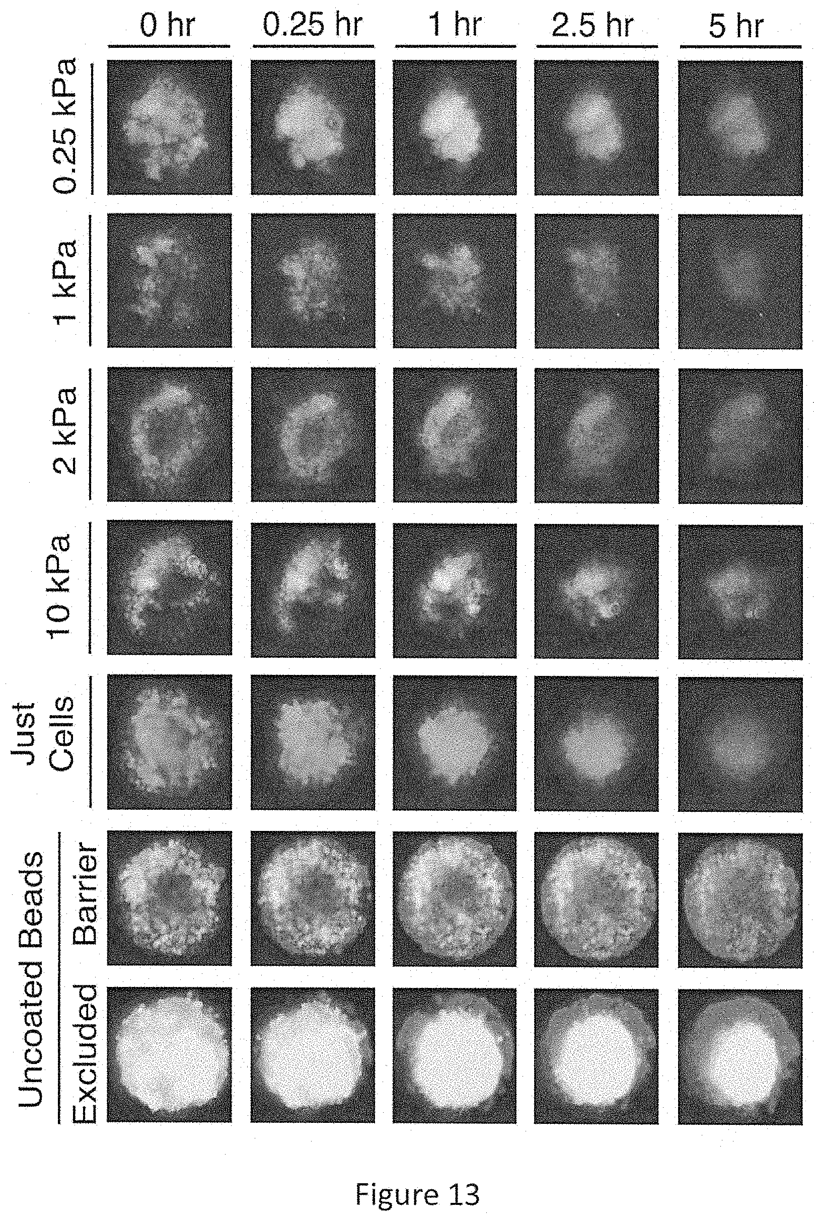 Patent US11772061 Figure 12 – Methods of fabricating hyper compliant polymer particles and methods of use and compositions