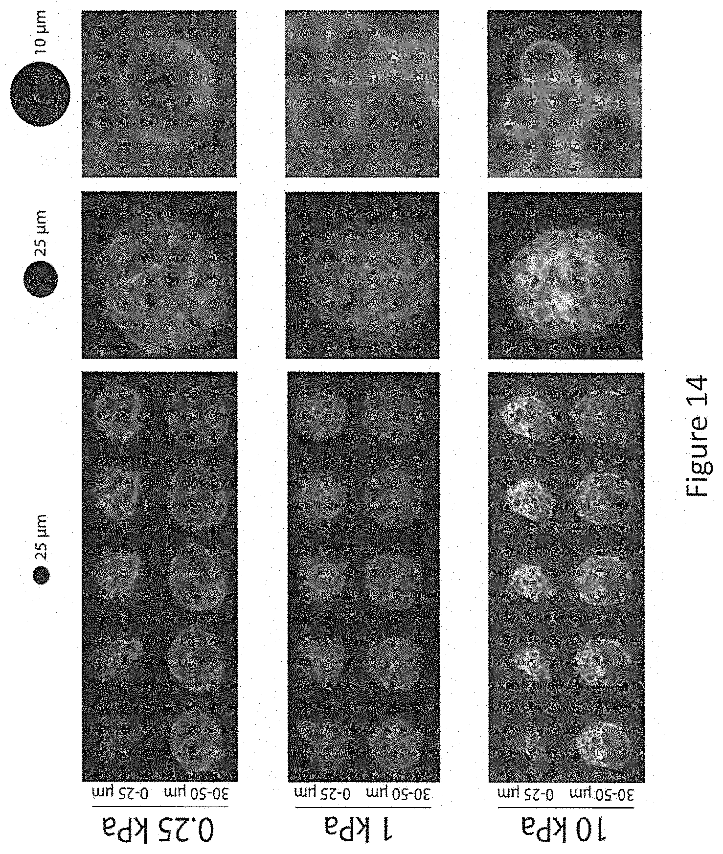 Patent US11772061 Figure 13 – Methods of fabricating hyper compliant polymer particles and methods of use and compositions