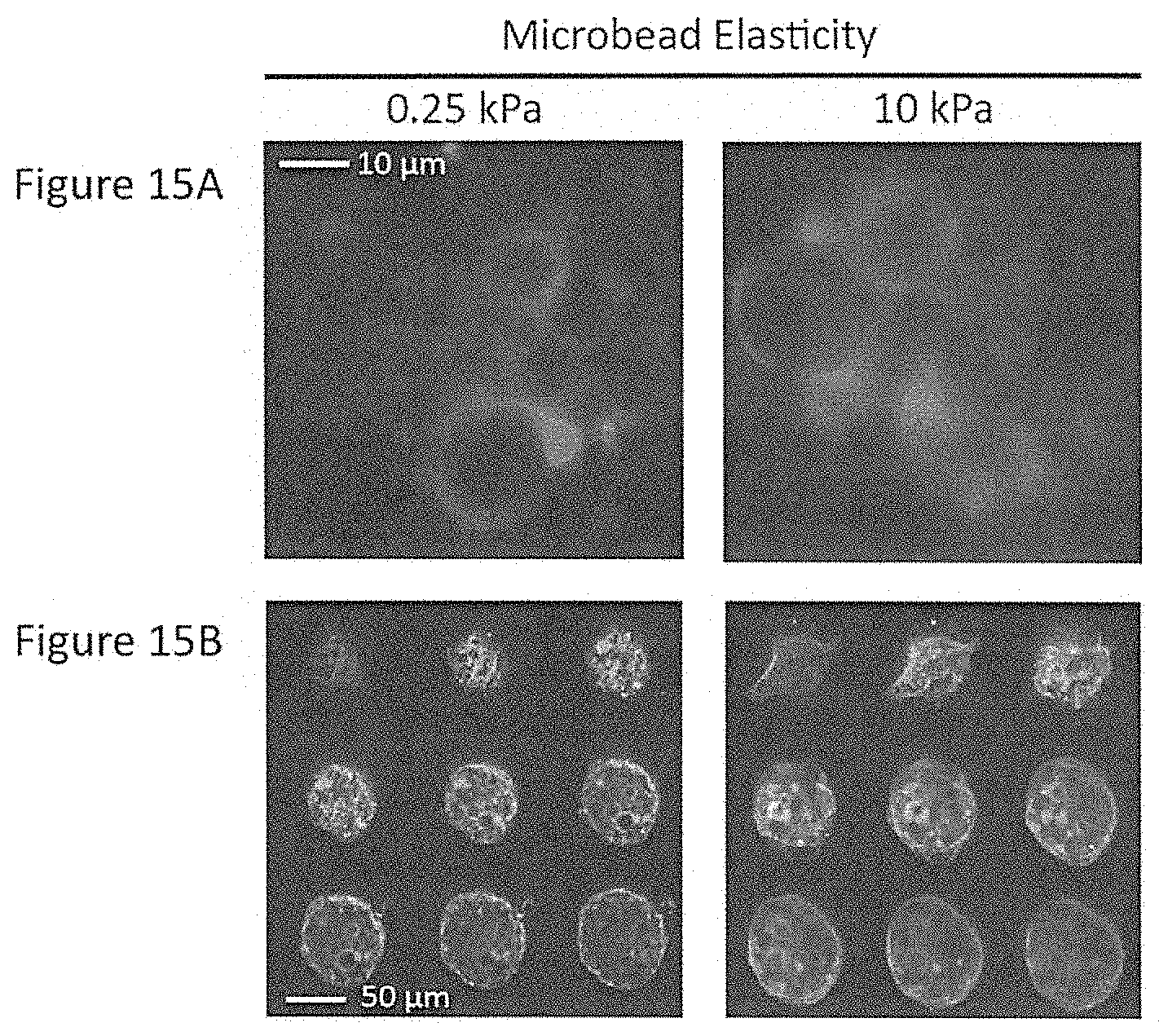 Patent US11772061 Figure 14 – Methods of fabricating hyper compliant polymer particles and methods of use and compositions
