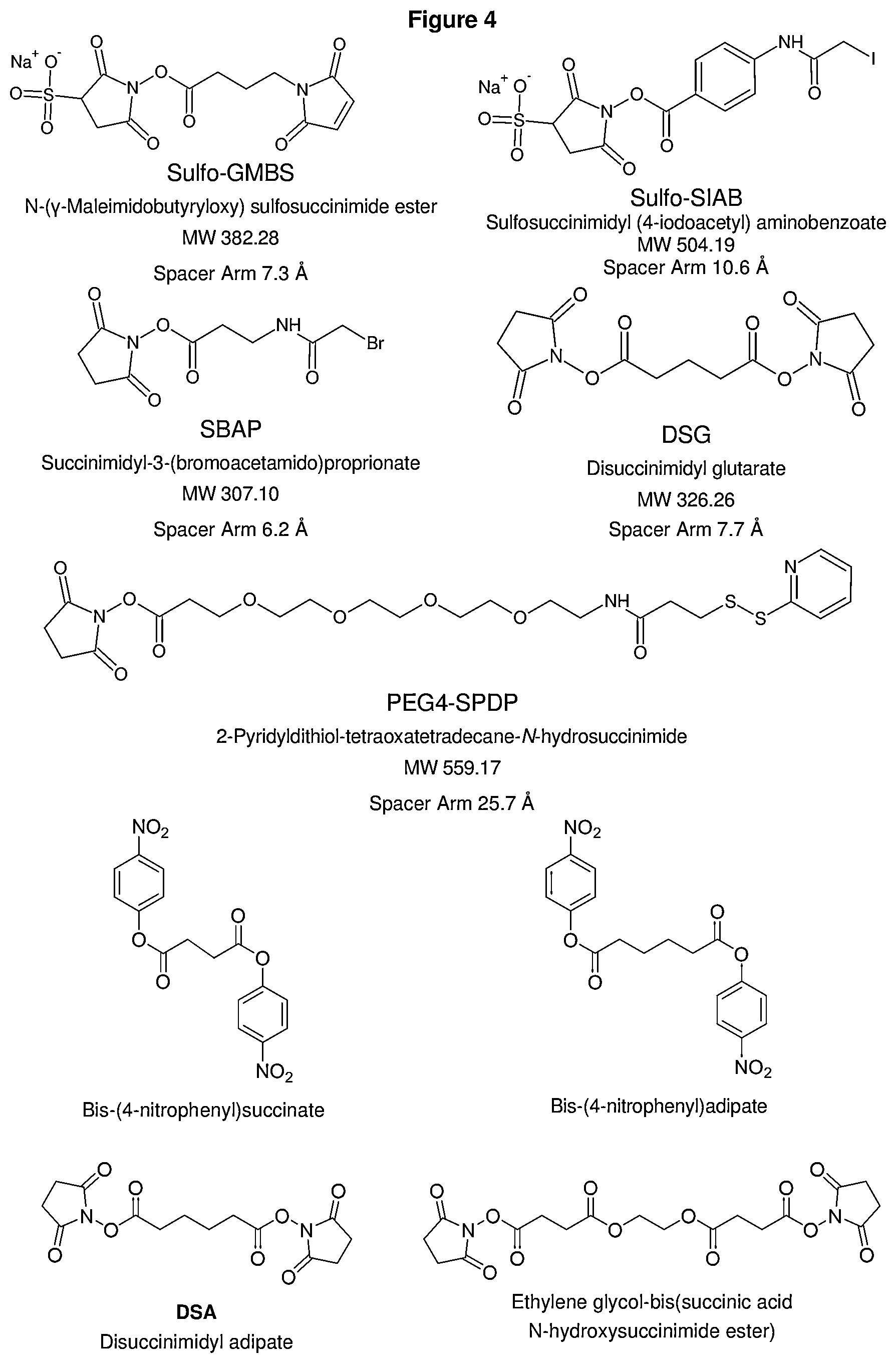 Patent US11772063 Figure 2 – Method and device for producing saccharides and saccharide arrays