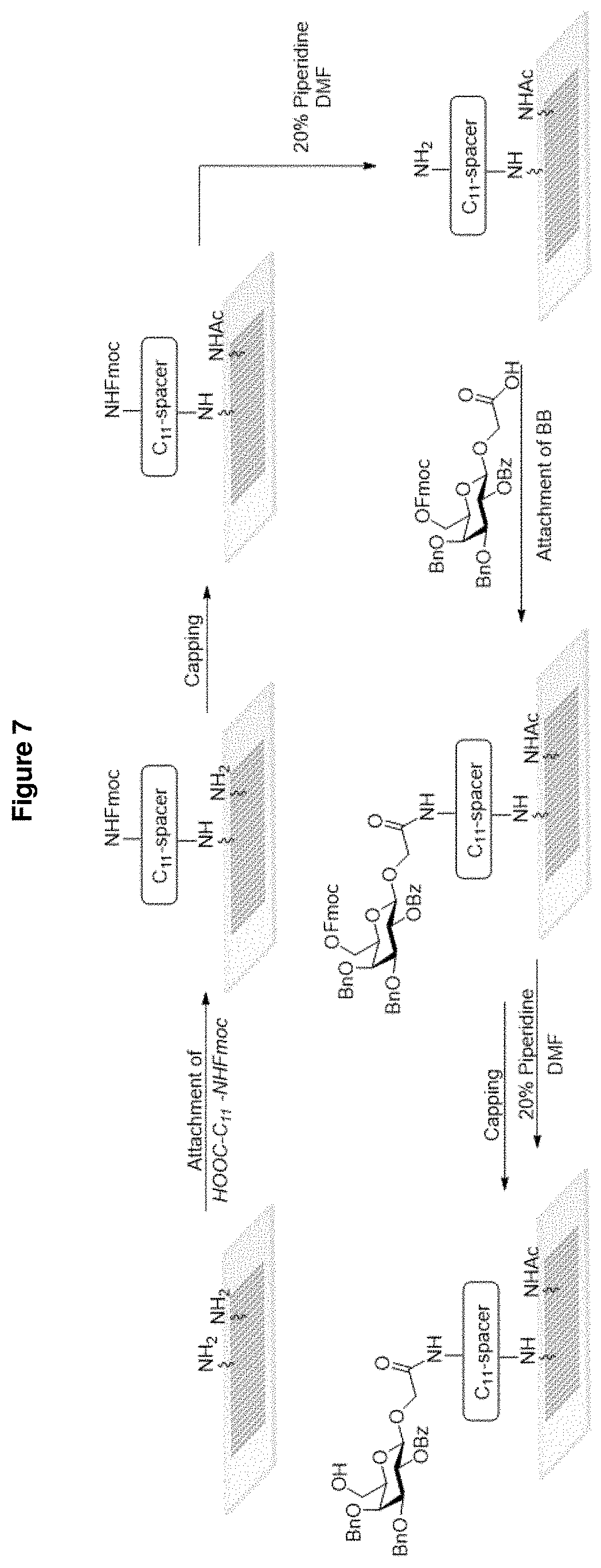 Patent US11772063 Figure 6 – Method and device for producing saccharides and saccharide arrays