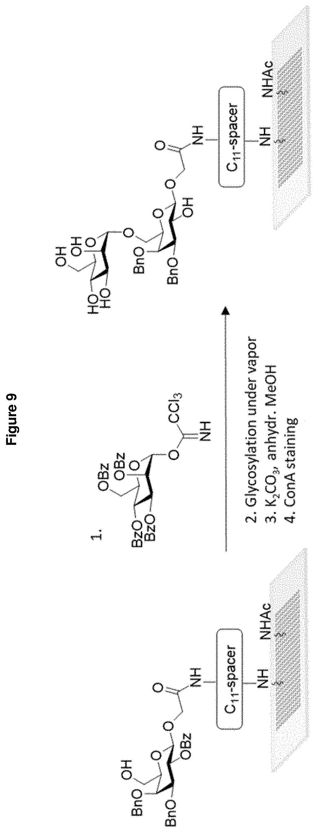 Patent US11772063 Figure 8 – Method and device for producing saccharides and saccharide arrays