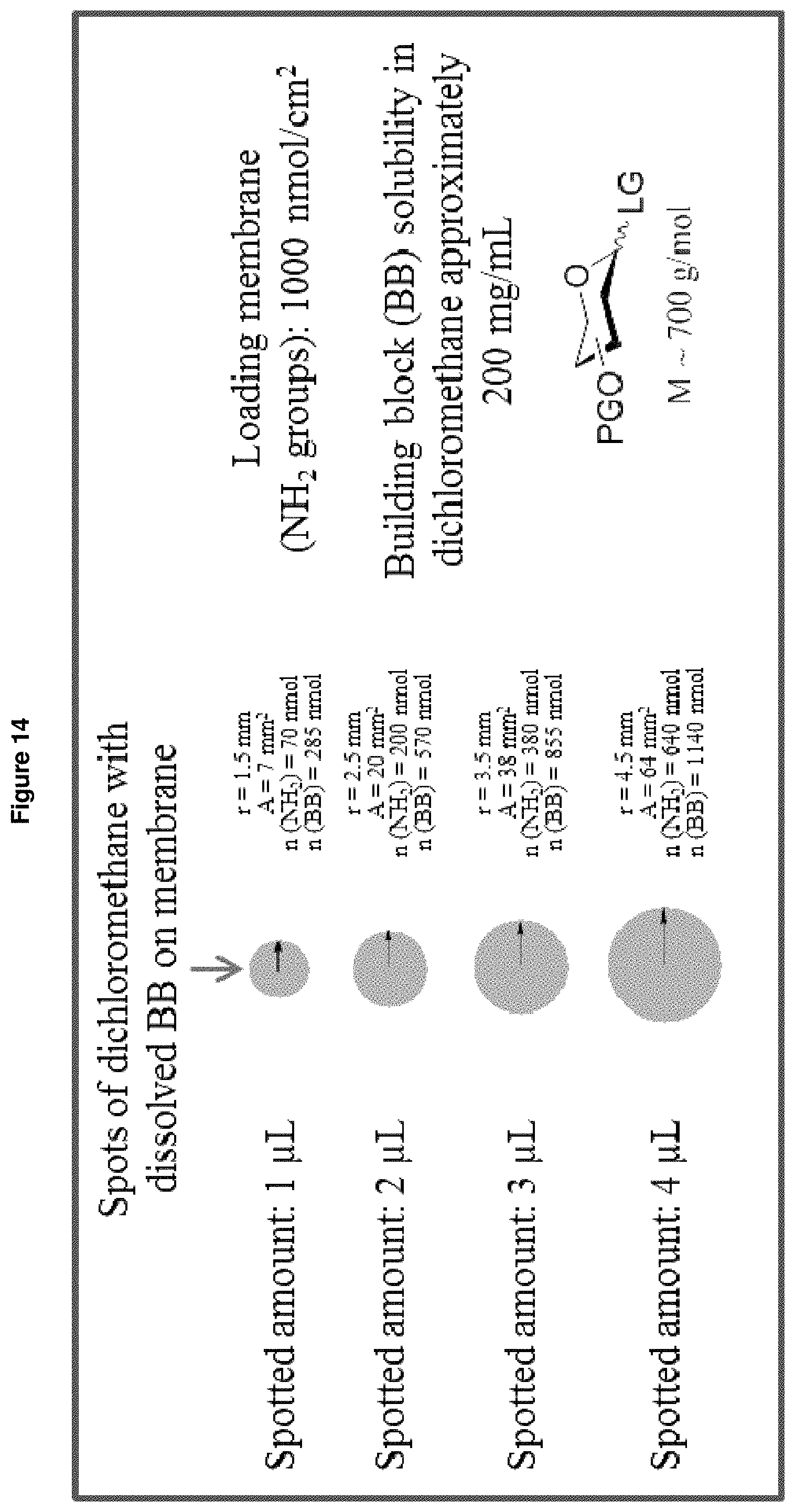Patent US11772063 Figure 13 – Method and device for producing saccharides and saccharide arrays