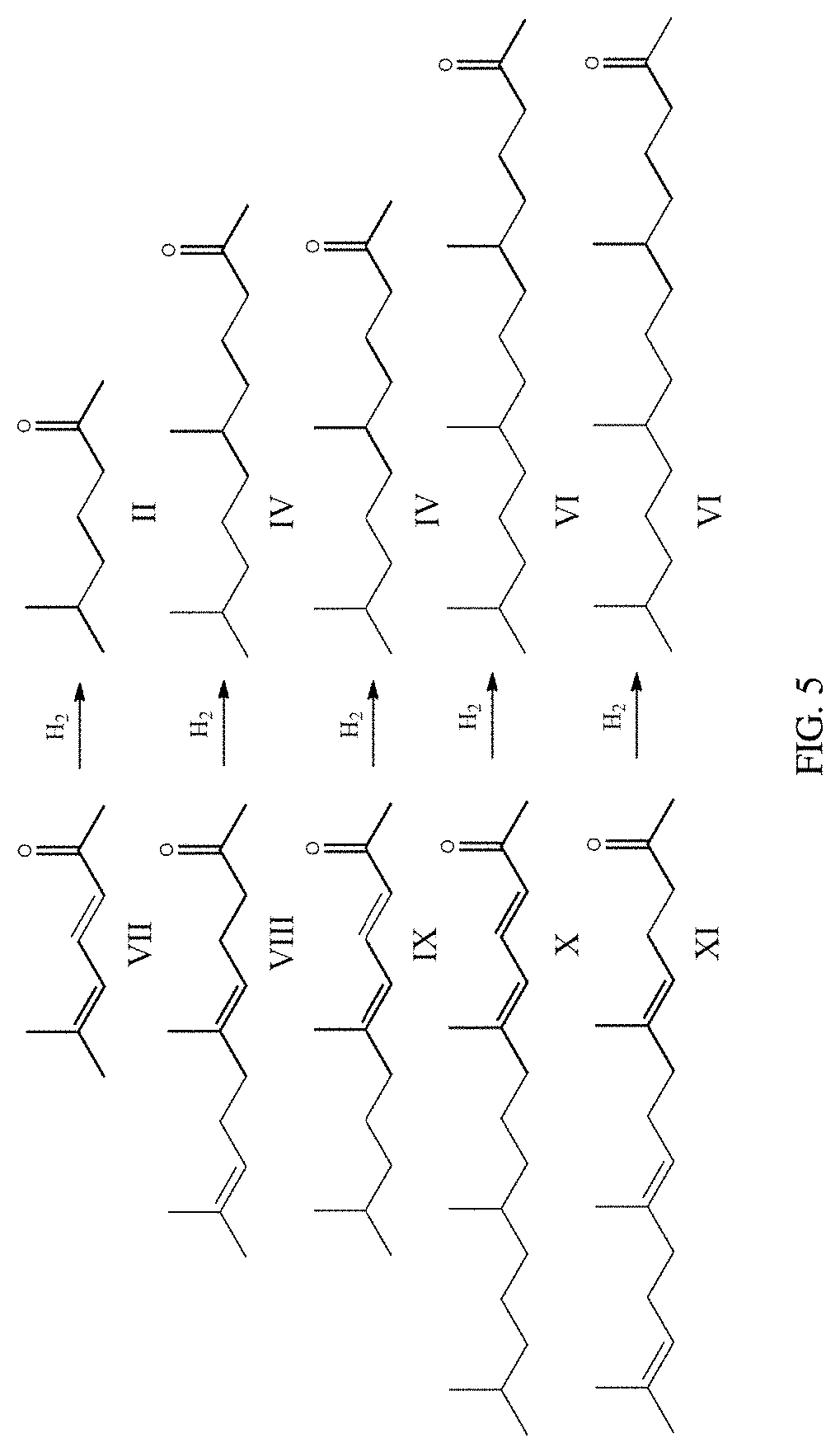 Patent US11772076 Figure 5 – Preparation method of nitrogen-doped hierarchical-porous carbon-loaded nanometer Pd catalyst and product and application thereof