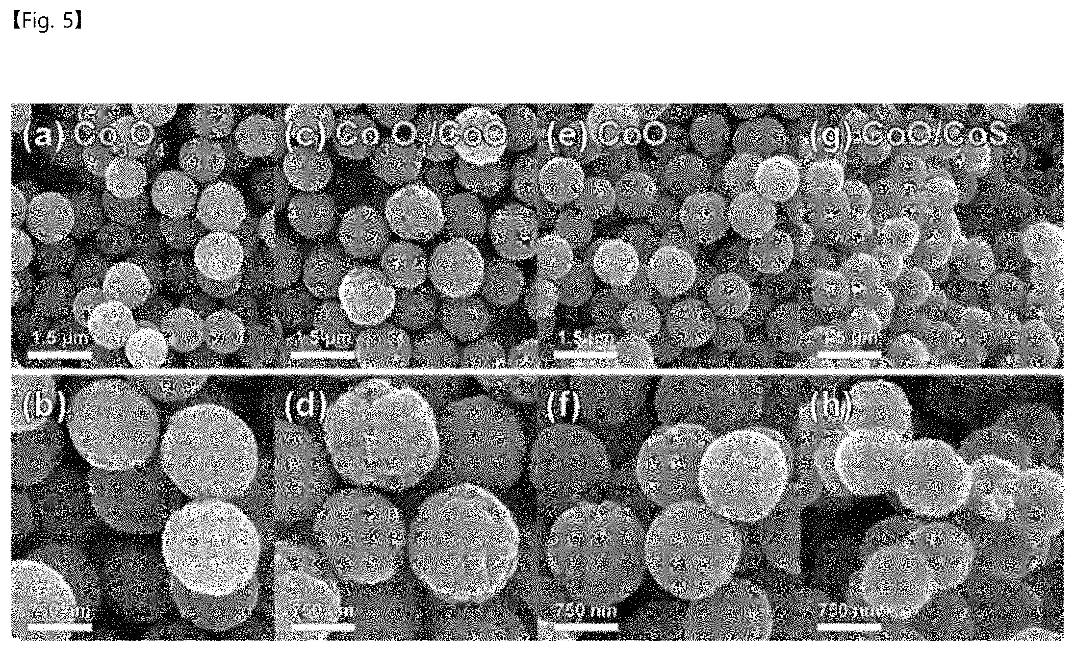 Patent US11772088 Figure 5 – Porous core-shell catalyst and method for fabricating the same