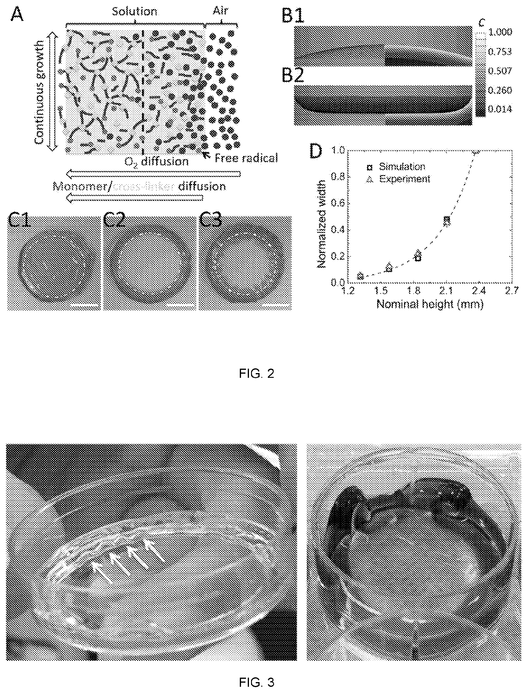 Patent US11772323 Figure 2 – Directed polymerization method to generate complex, three dimensional (3D) structures in soft materials
