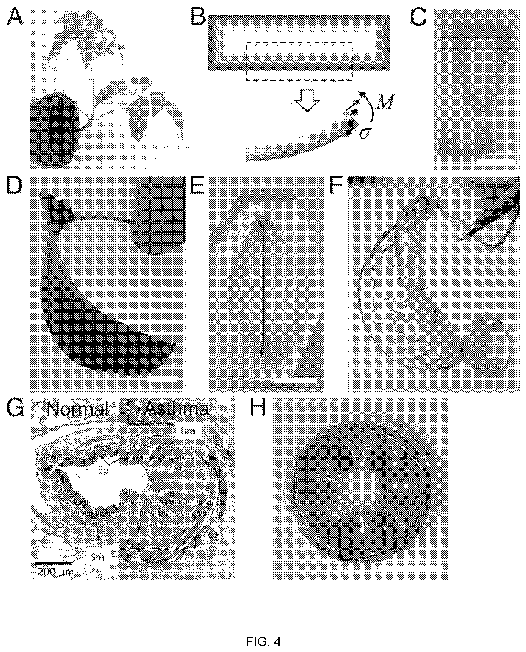 Patent US11772323 Figure 3 – Directed polymerization method to generate complex, three dimensional (3D) structures in soft materials