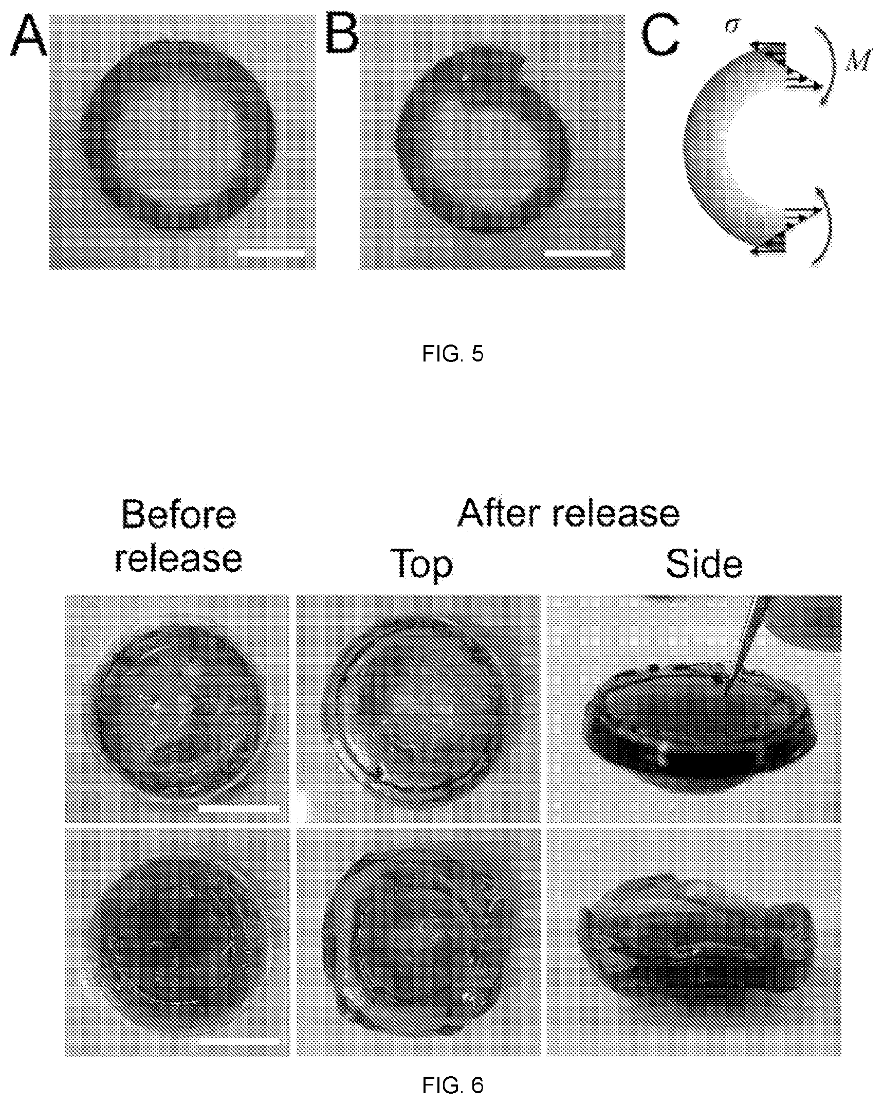 Patent US11772323 Figure 4 – Directed polymerization method to generate complex, three dimensional (3D) structures in soft materials