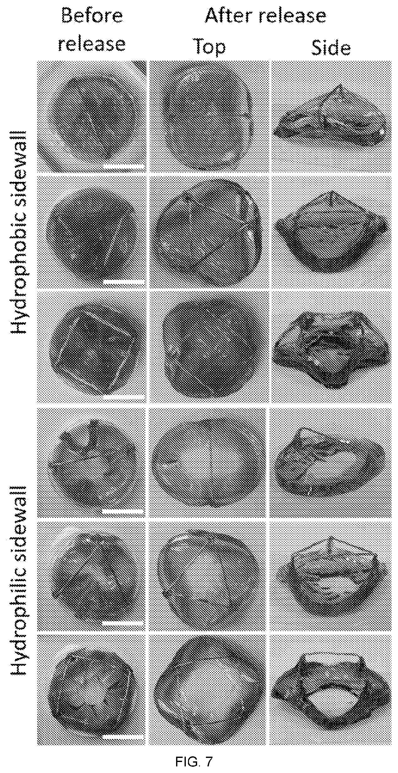 Patent US11772323 Figure 5 – Directed polymerization method to generate complex, three dimensional (3D) structures in soft materials