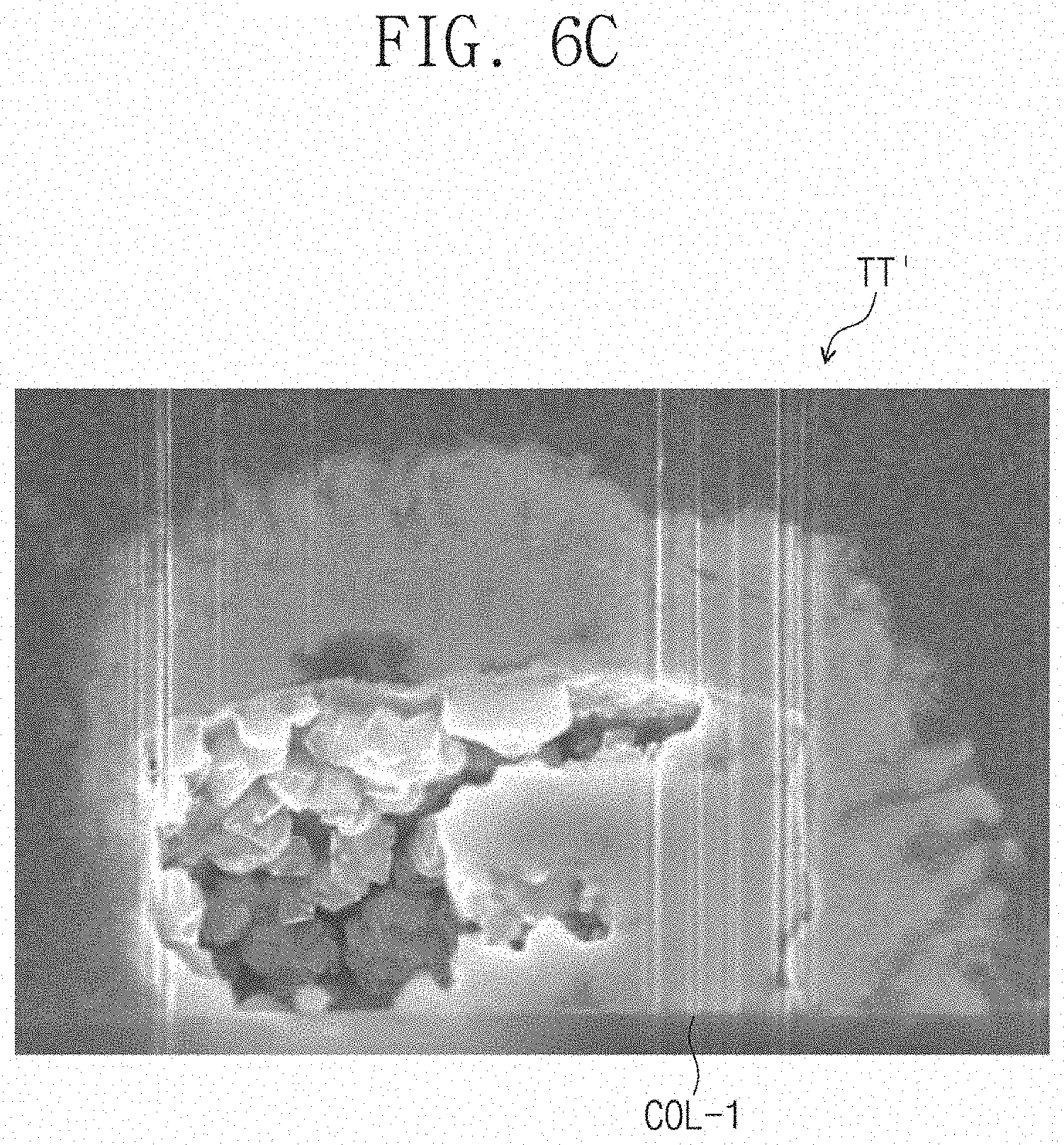 Patent US11772364 Figure 11 – Adhesive member and display device including the same