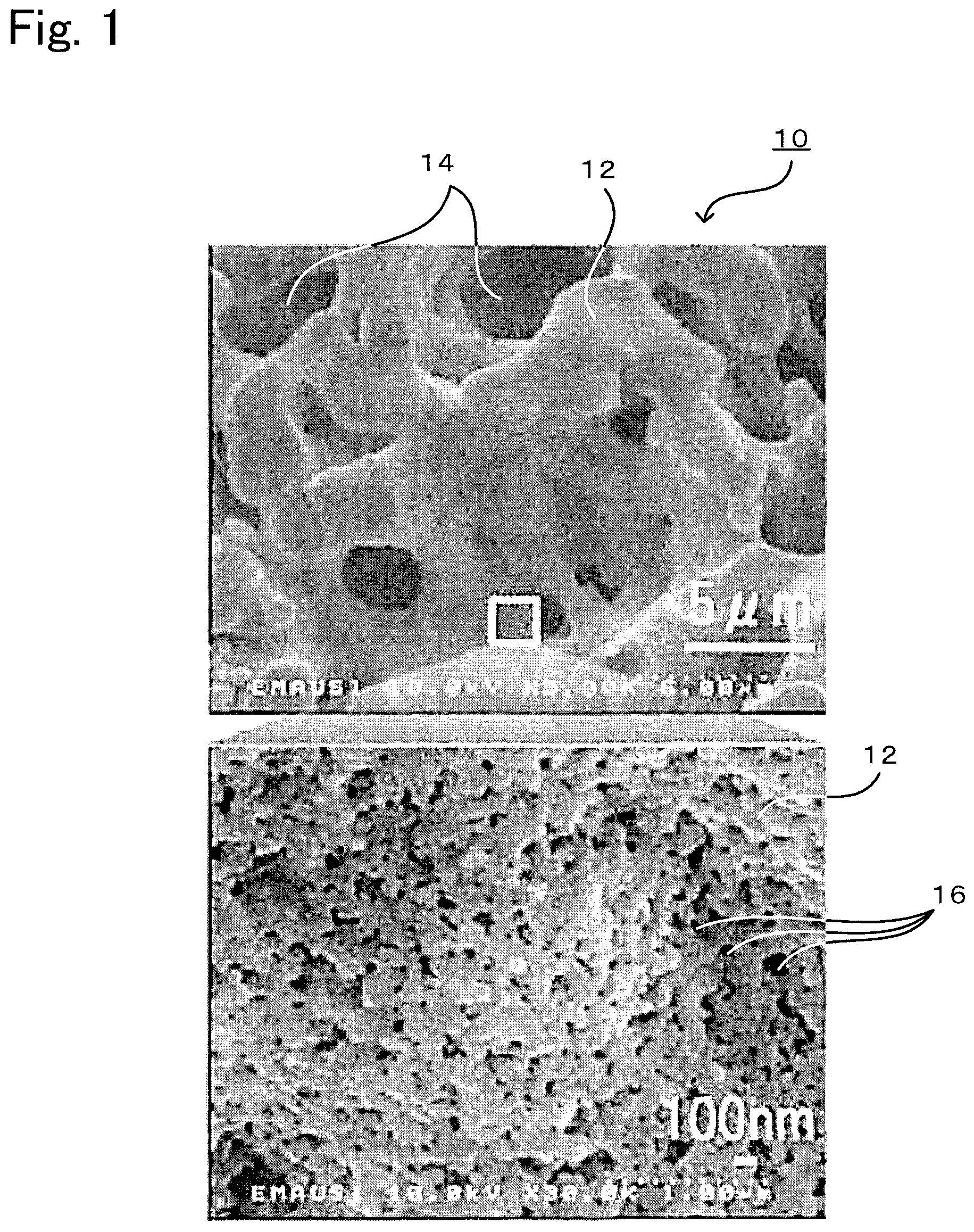Patent US11772983 Figure 1 – Titania porous body and method for producing same