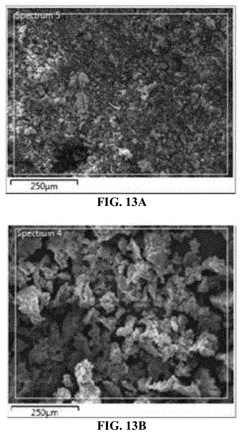 Patent US11772990 Figure 13 – Removal of cadmium ions using a terpolymer/carbon nanotube composite