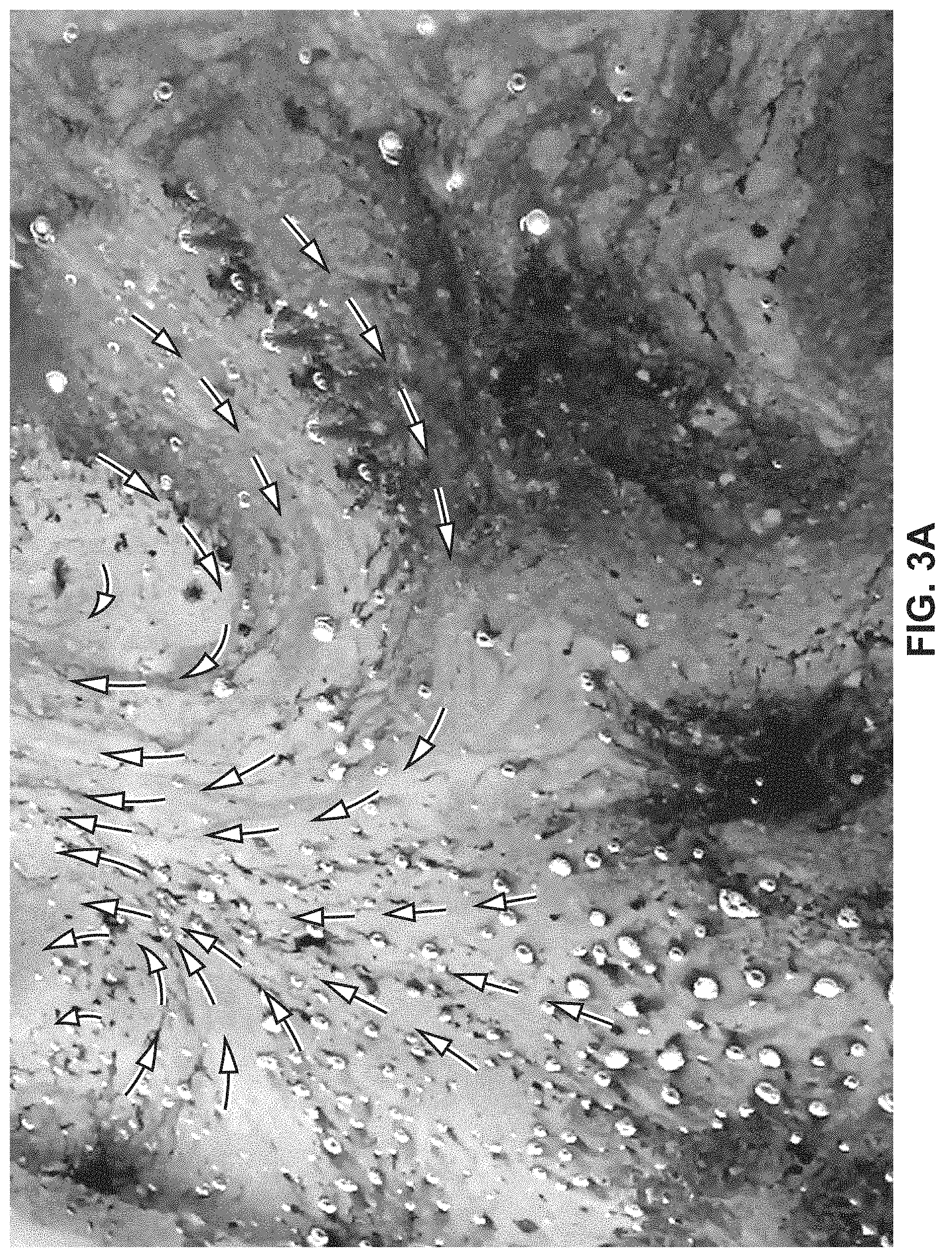 Patent US11772991 Figure 4 – Apparatuses and methods for treating, purifying and/or extracting from wastewater