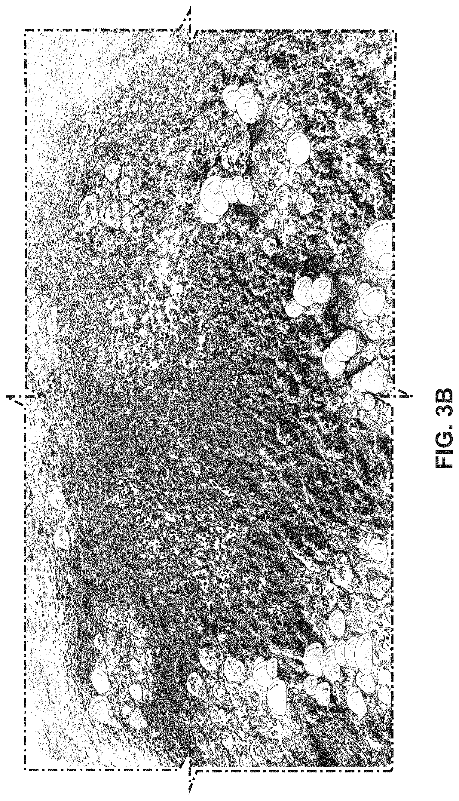 Patent US11772991 Figure 5 – Apparatuses and methods for treating, purifying and/or extracting from wastewater