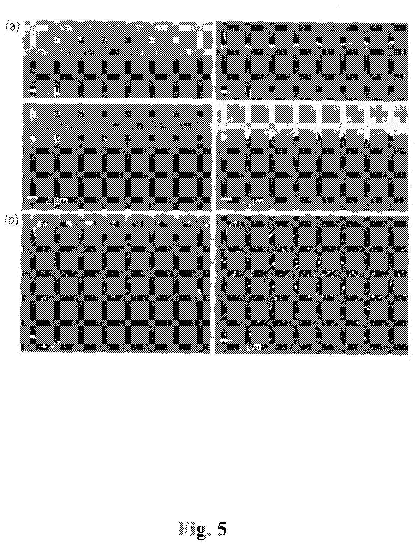 Patent US11773010 Figure 5 – High transparency, high haze nanostructured structures