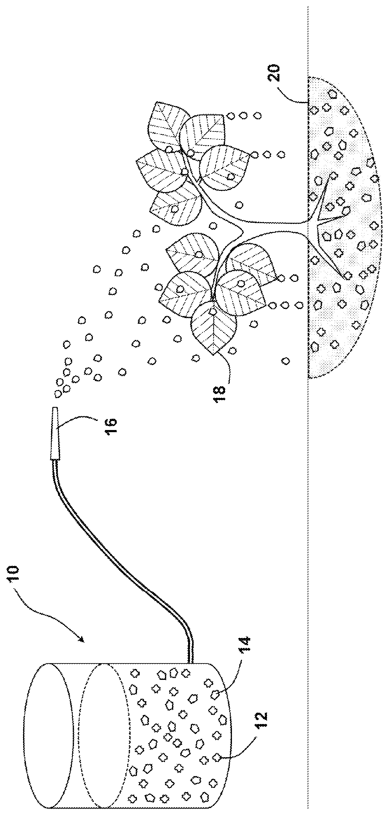 Patent US11773032 Figure 1 – Biostimulant composition