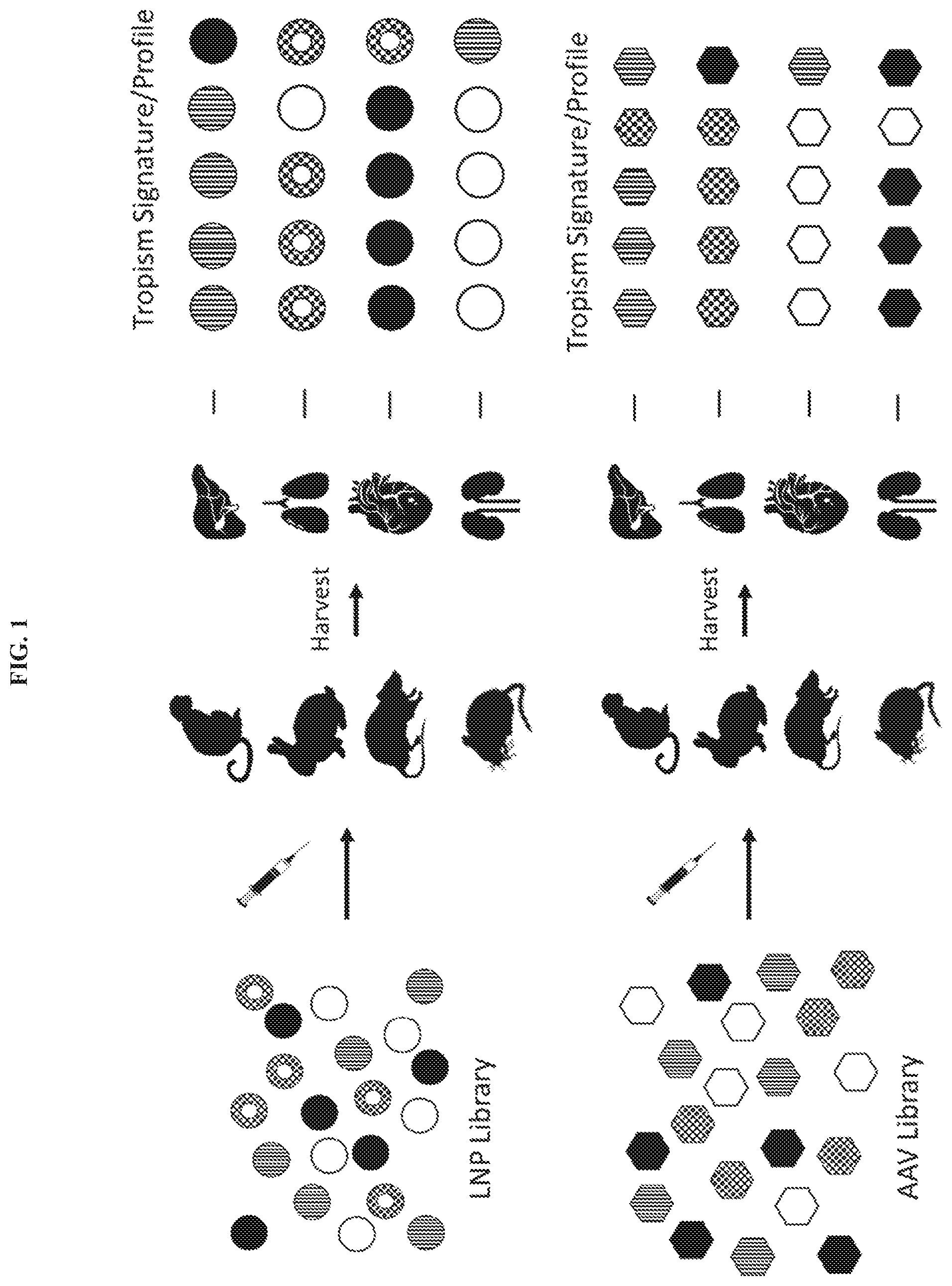 Patent US11773061 Figure 1 – Cyclic lipids and methods of use thereof