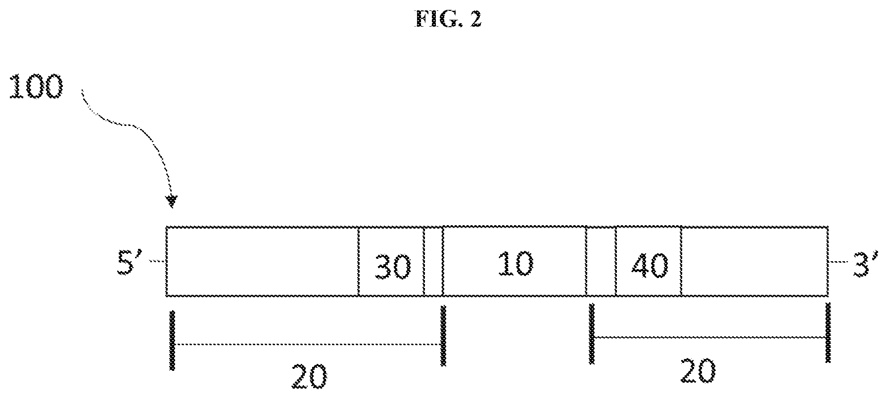 Patent US11773061 Figure 2 – Cyclic lipids and methods of use thereof
