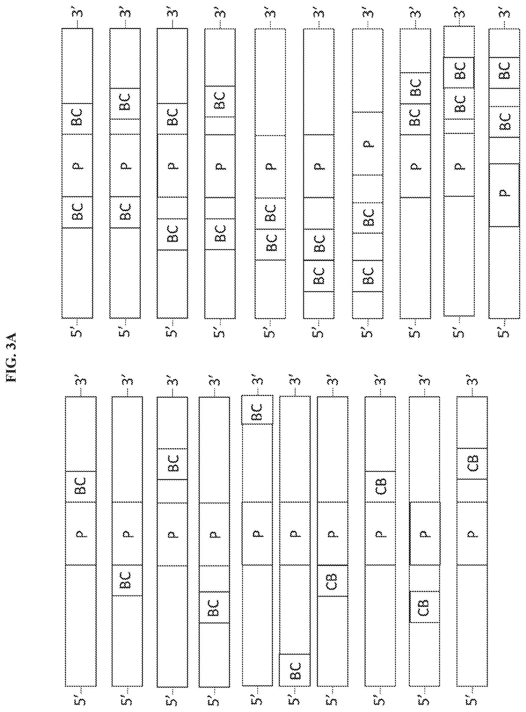 Patent US11773061 Figure 3 – Cyclic lipids and methods of use thereof