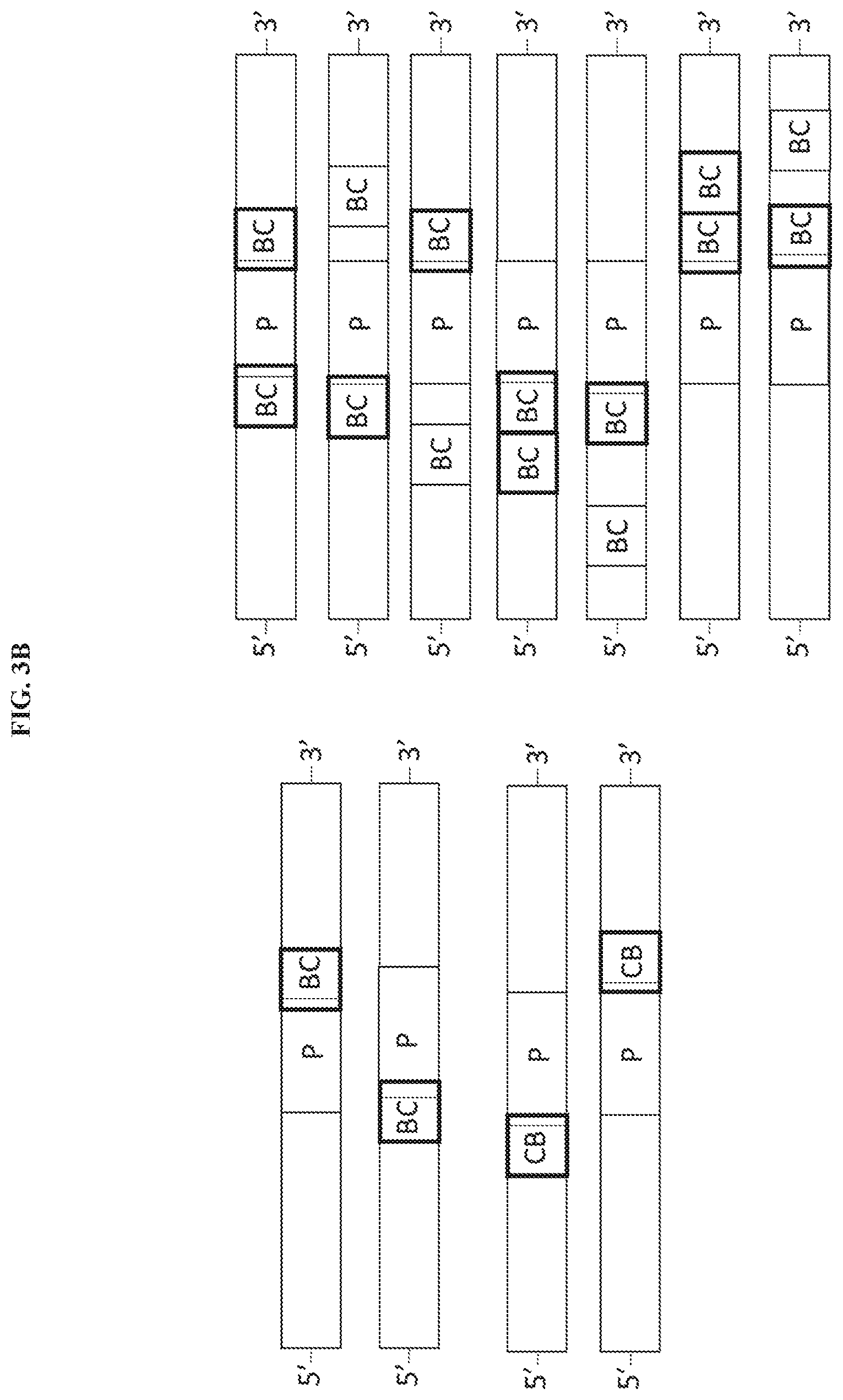 Patent US11773061 Figure 5 – Cyclic lipids and methods of use thereof