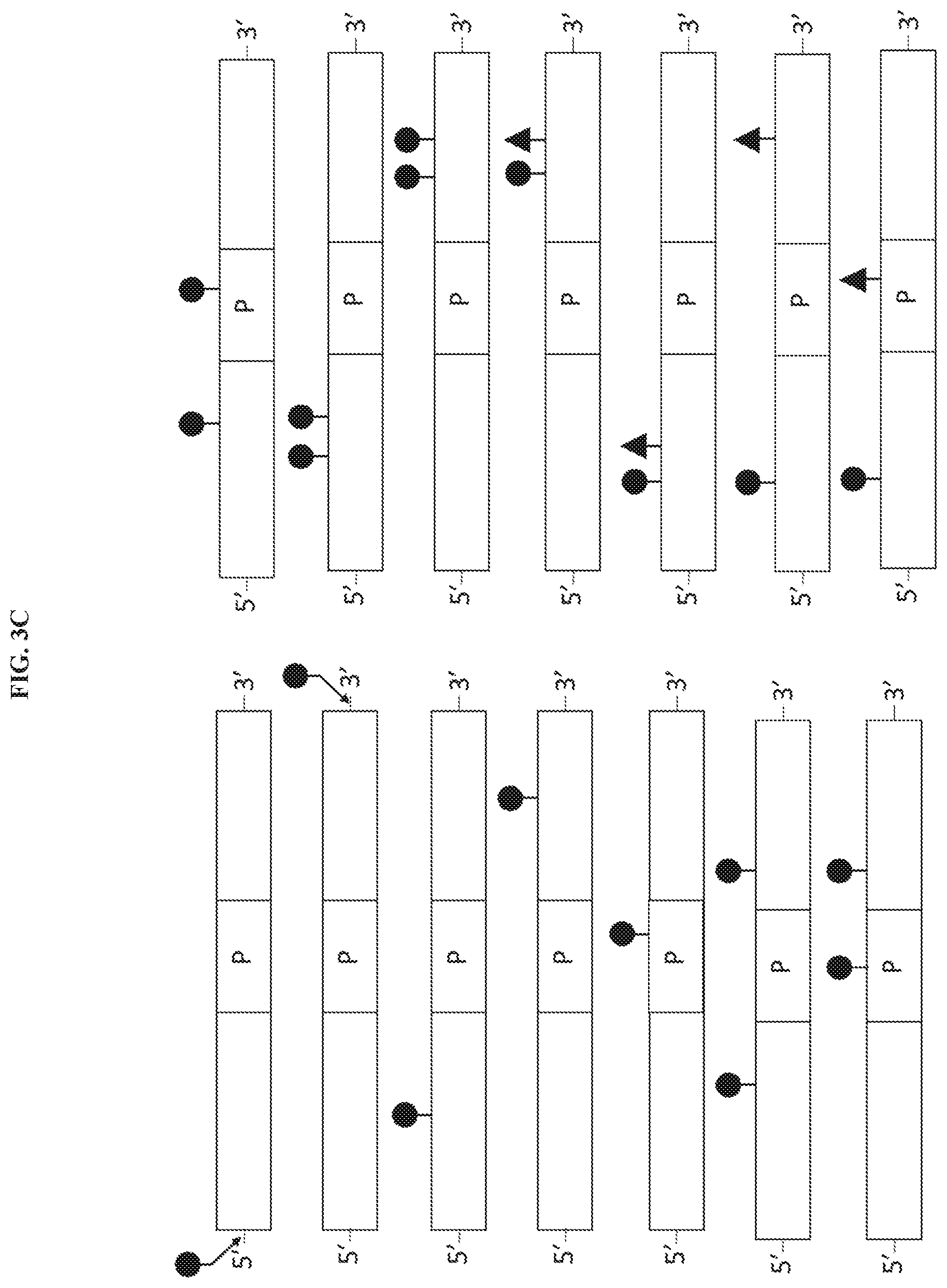 Patent US11773061 Figure 6 – Cyclic lipids and methods of use thereof