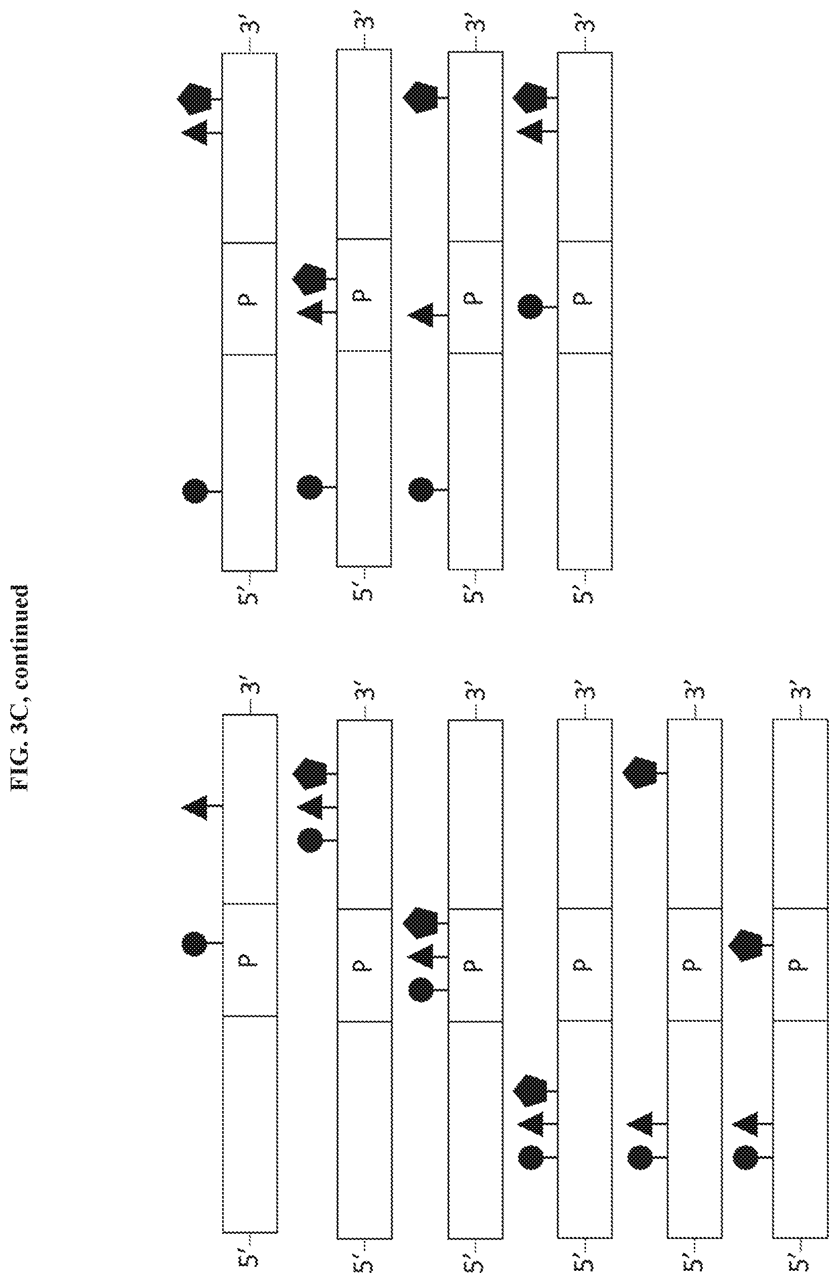 Patent US11773061 Figure 7 – Cyclic lipids and methods of use thereof