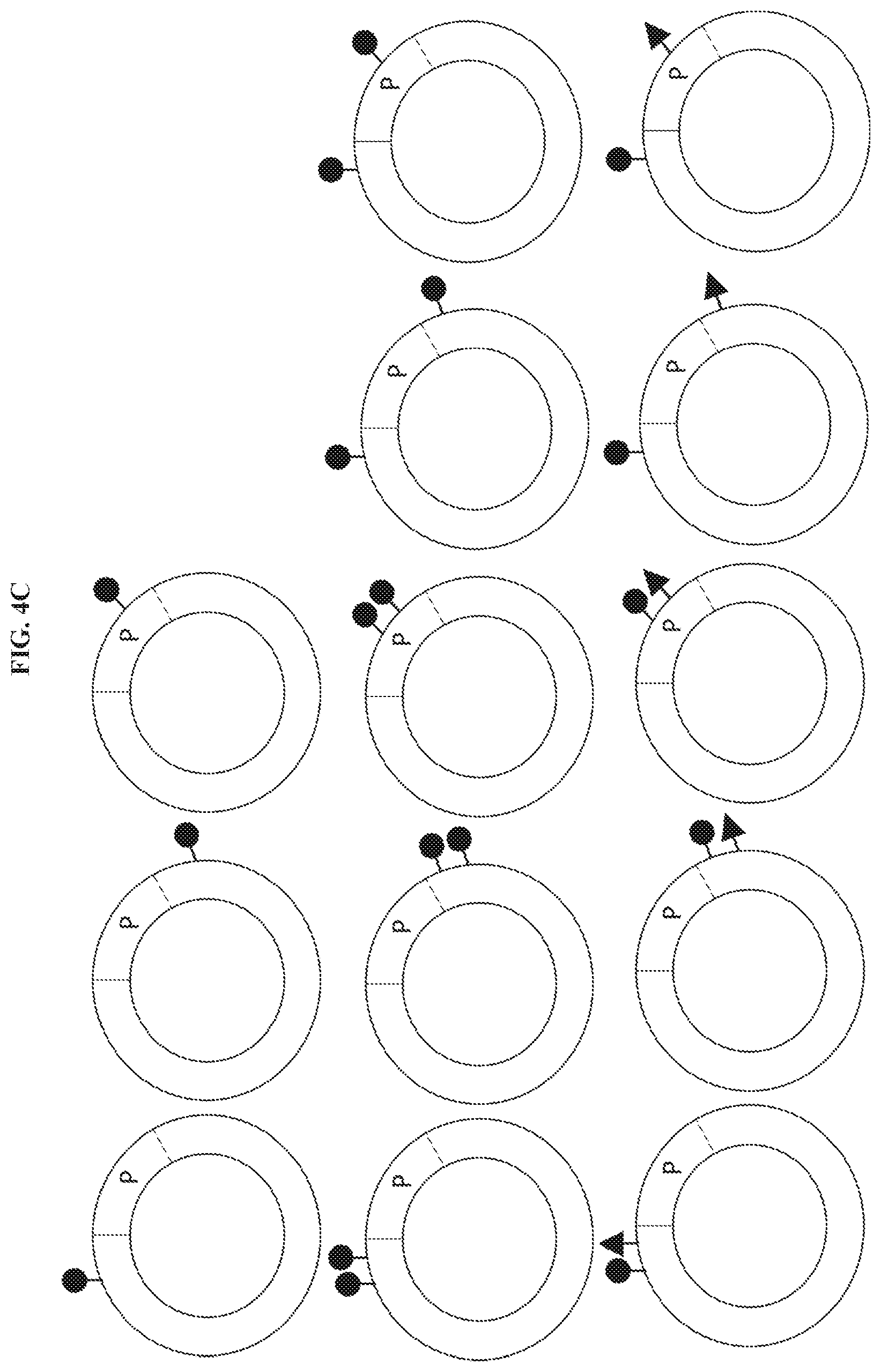 Patent US11773061 Figure 12 – Cyclic lipids and methods of use thereof