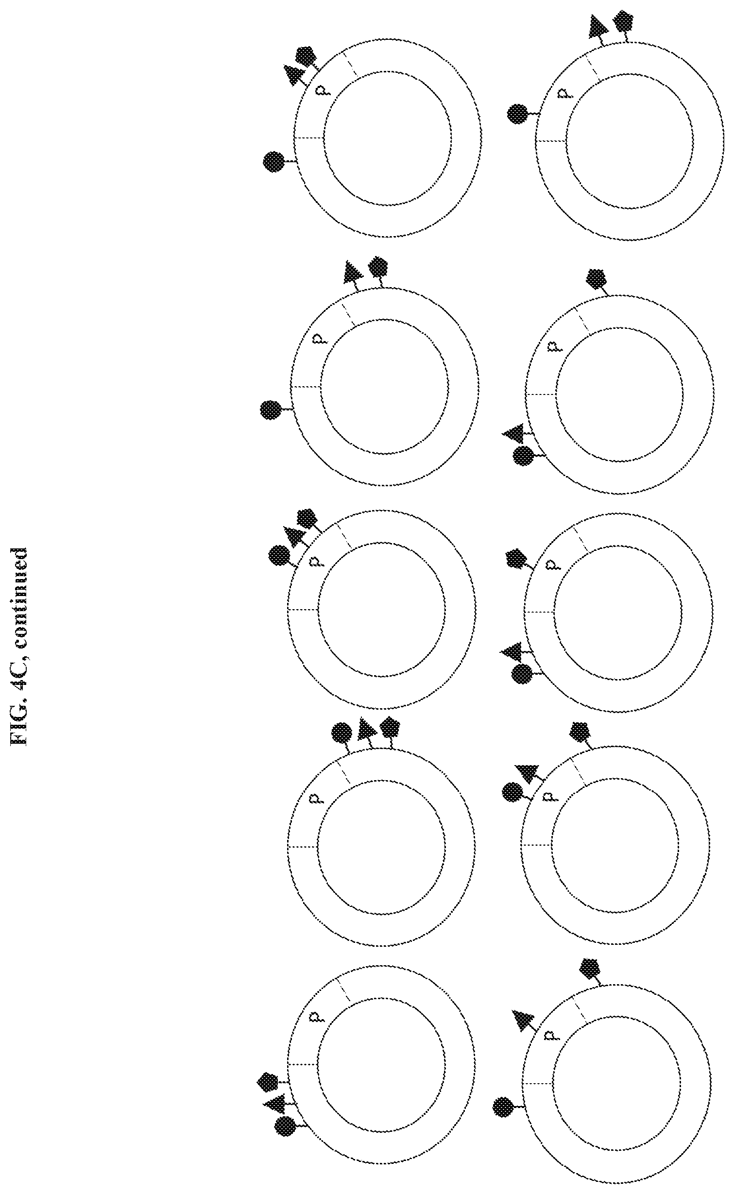 Patent US11773061 Figure 13 – Cyclic lipids and methods of use thereof