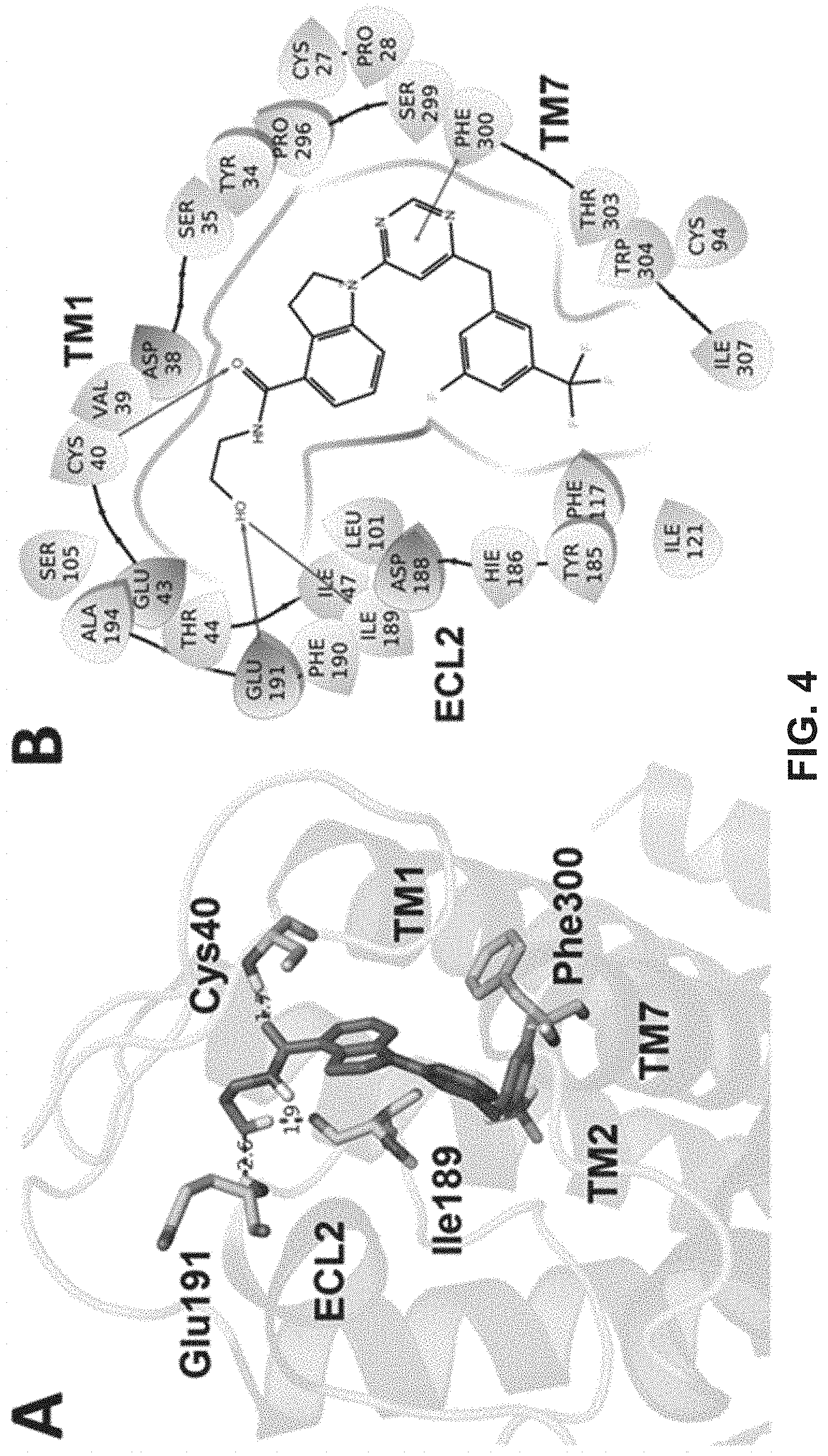 Patent US11773065 Figure 4 – Heterocyclic g-protein-coupled receptor 52 (GPR52) agonists
