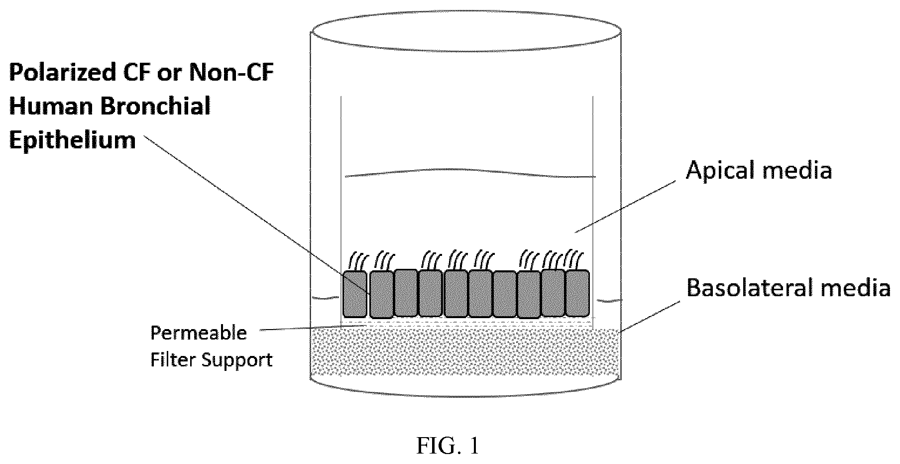 Patent US11773078 Figure 1 – Furin inhibitors
