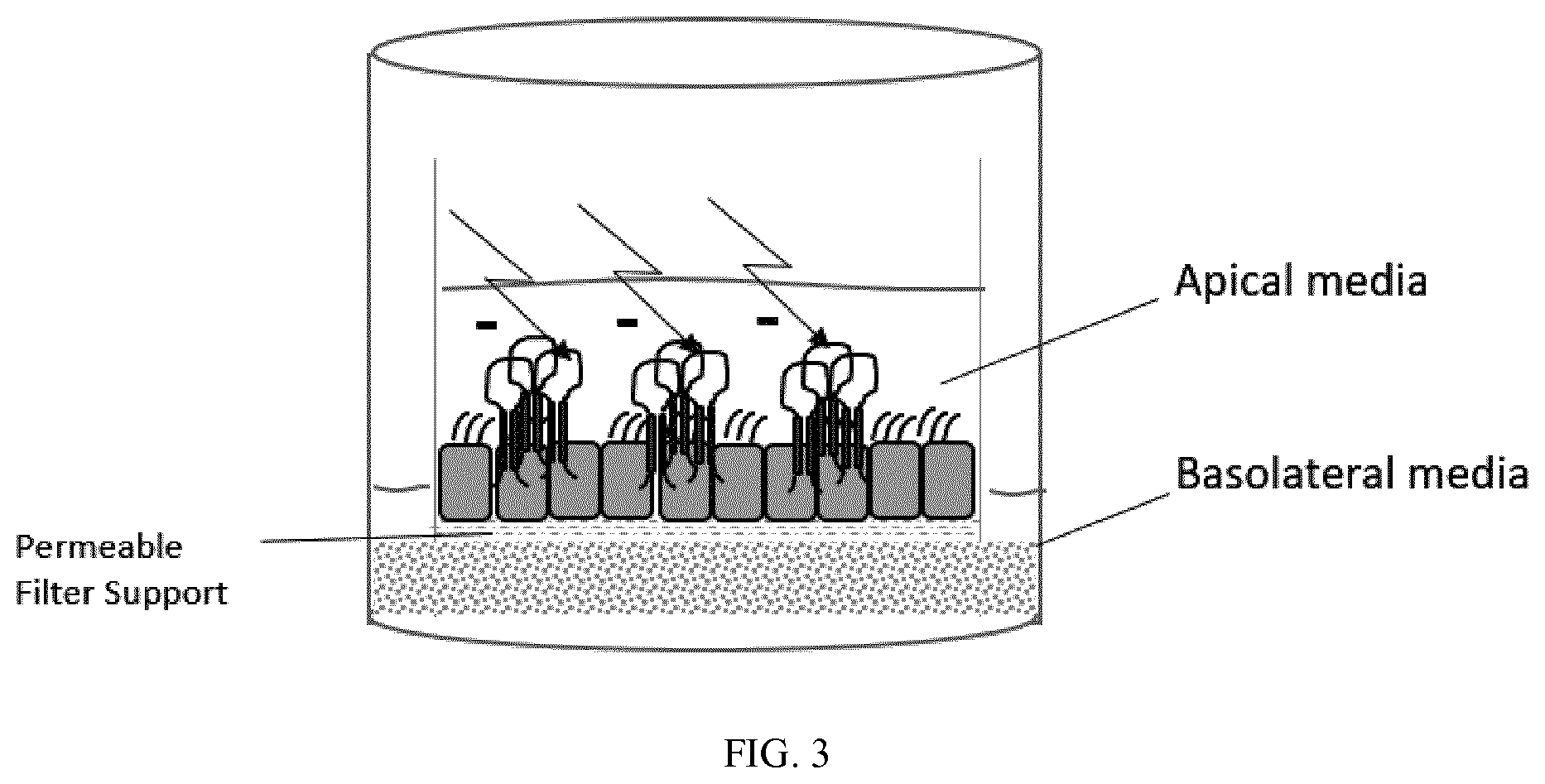Patent US11773078 Figure 3 – Furin inhibitors