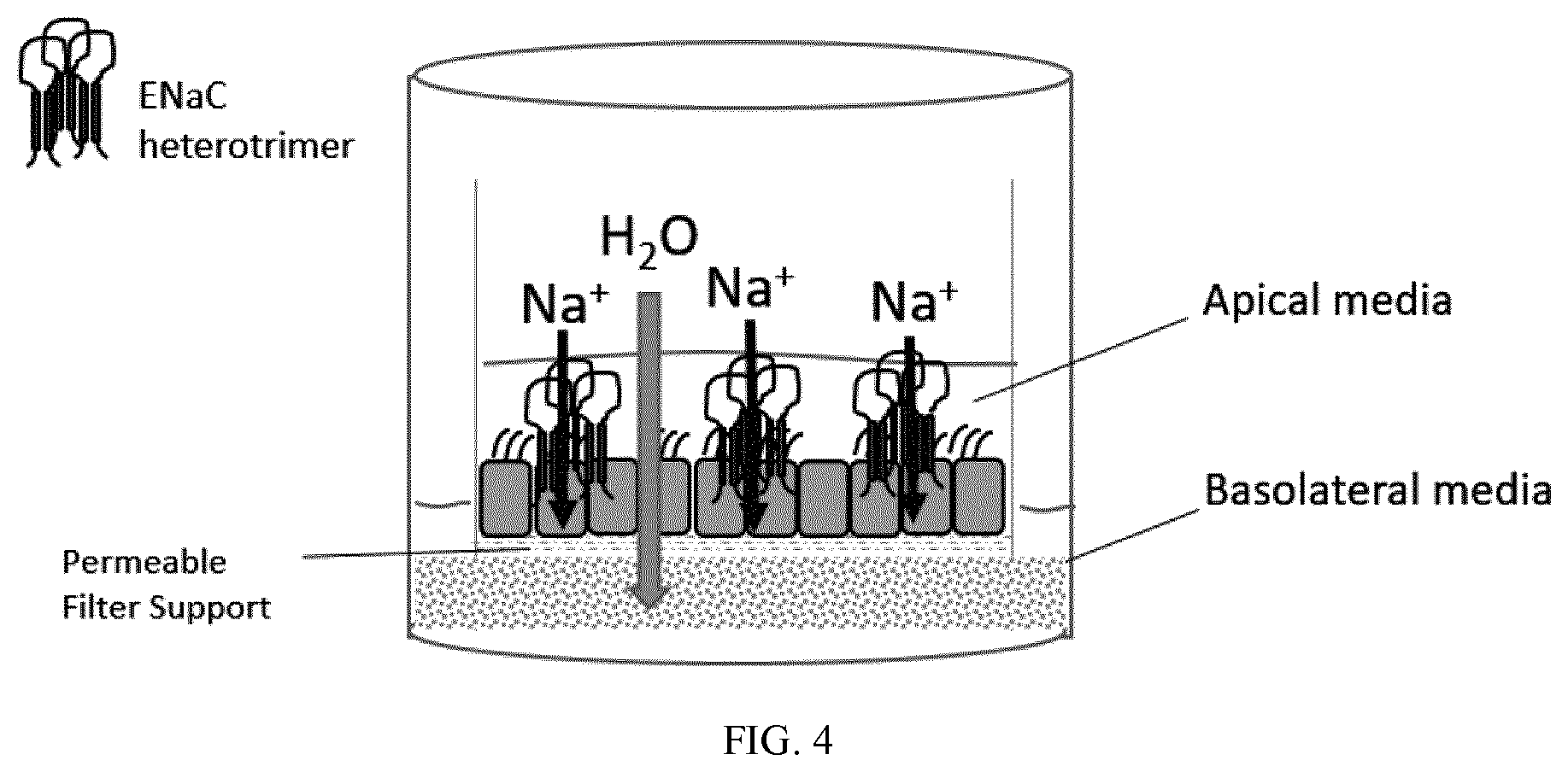 Patent US11773078 Figure 4 – Furin inhibitors