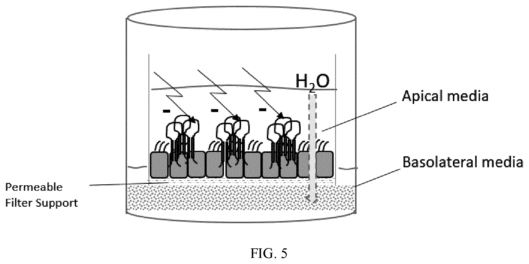 Patent US11773078 Figure 5 – Furin inhibitors