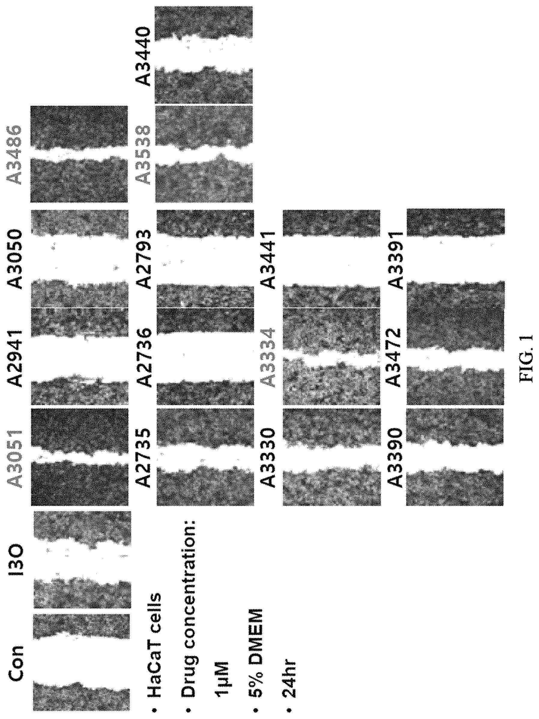 Patent US11773081 — Pharmaceutical composition for preventing or treating wound, comprising indirubin derivative as active ingredient — Figure 1